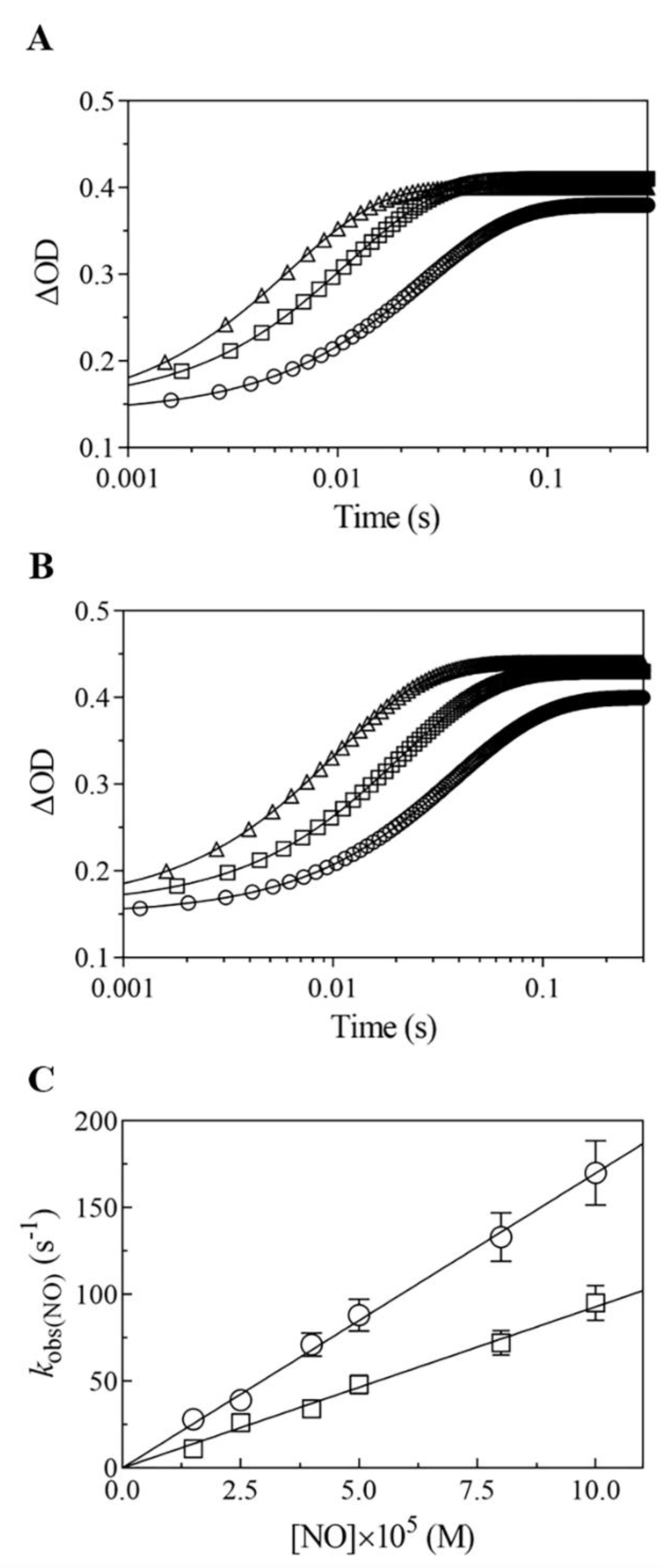 Ijms 22 01674 g008 Ijms 22 01674 g008