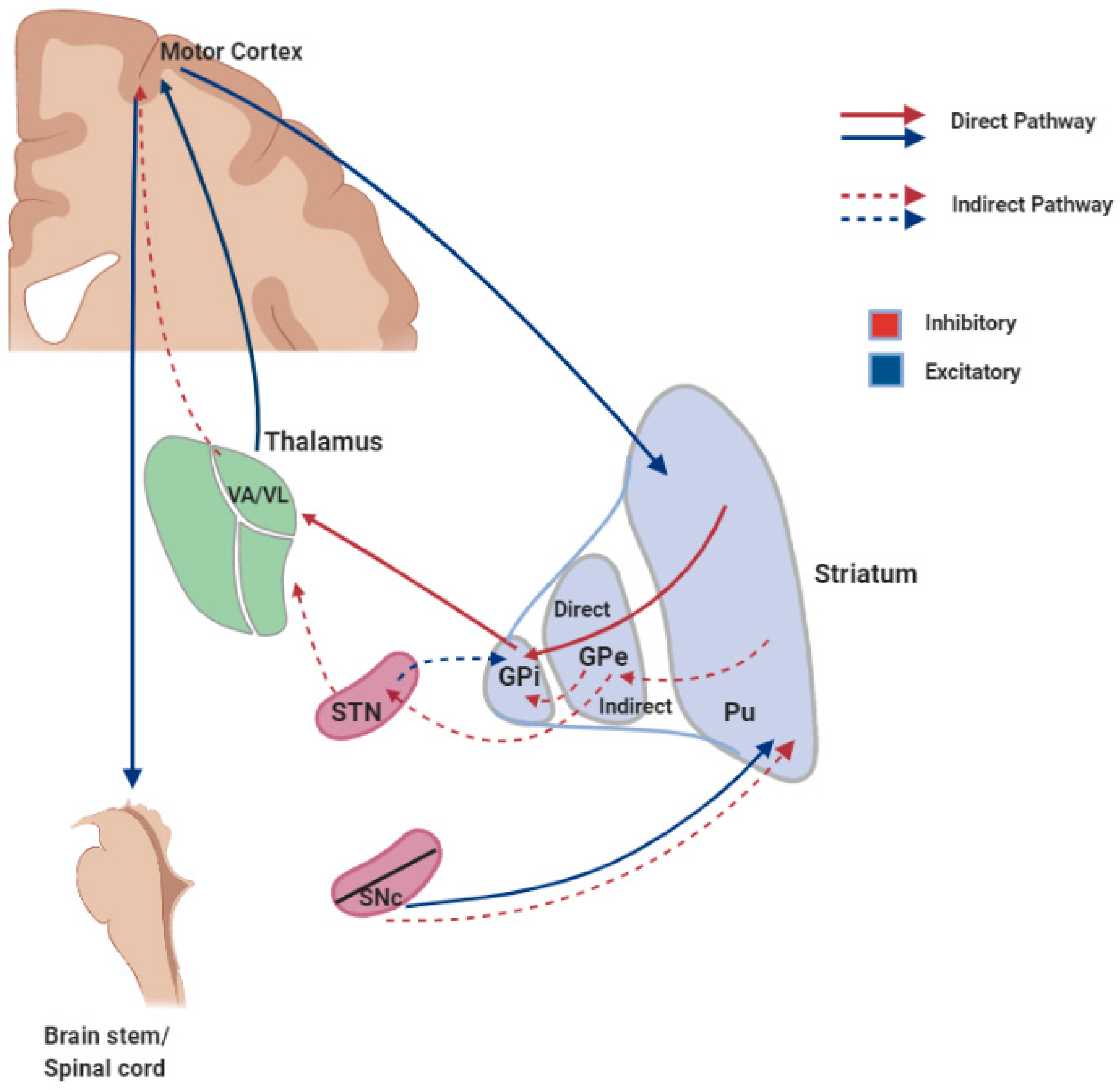 Ijms 22 01719 g002 Ijms 22 01719 g002