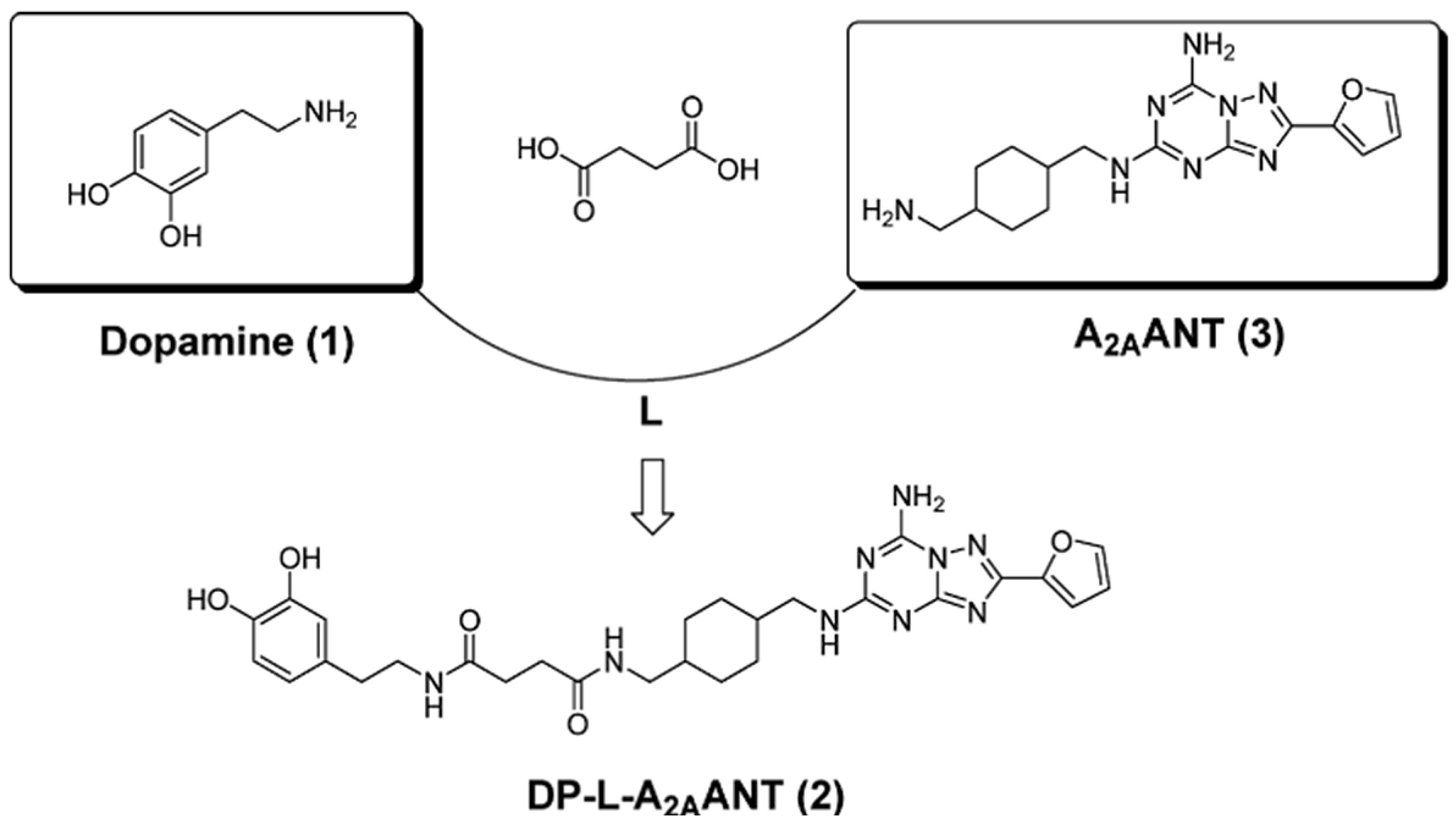 Ijms 22 01719 g004 Ijms 22 01719 g004