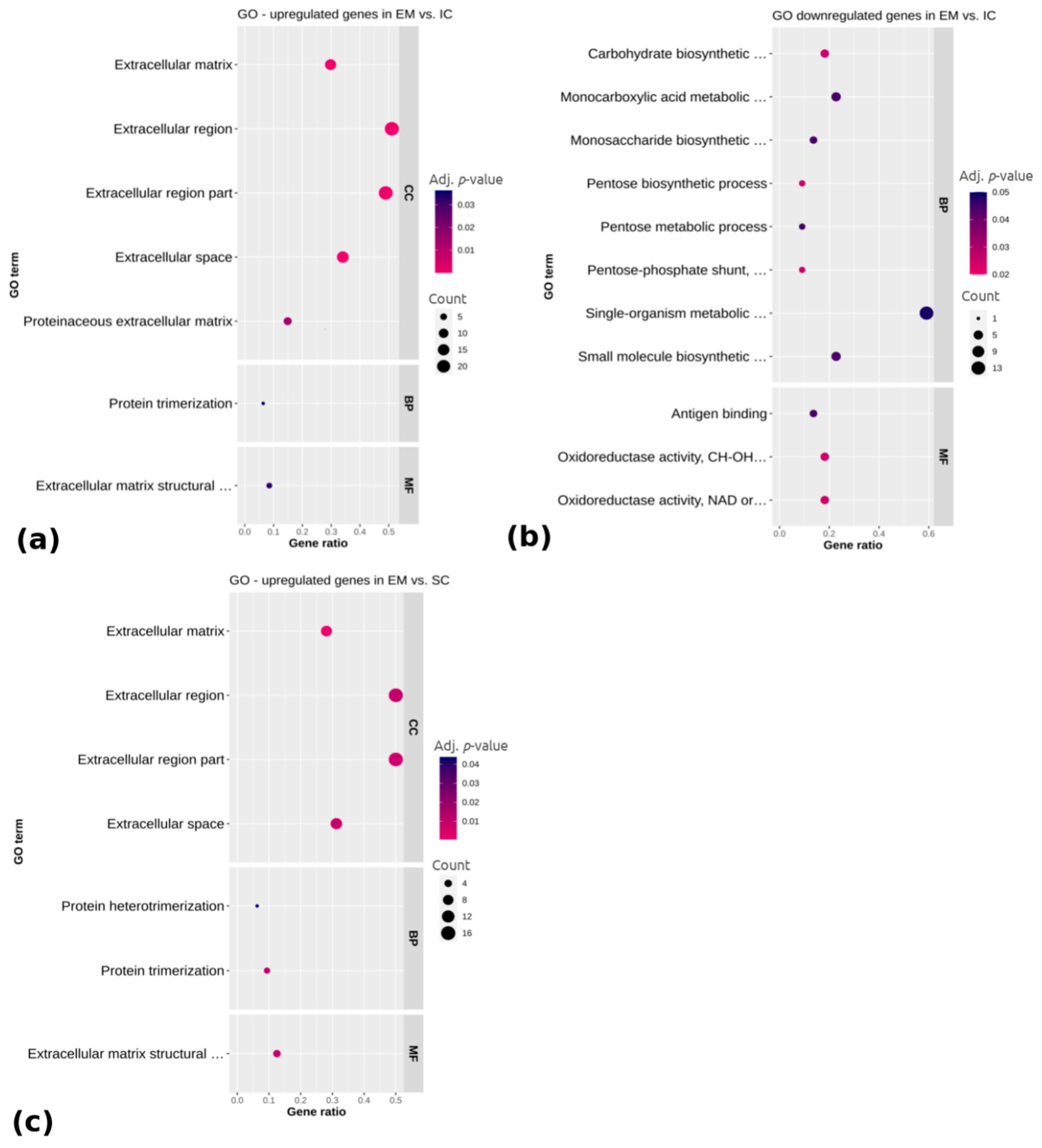 Ijms 22 01768 g003 Ijms 22 01768 g003