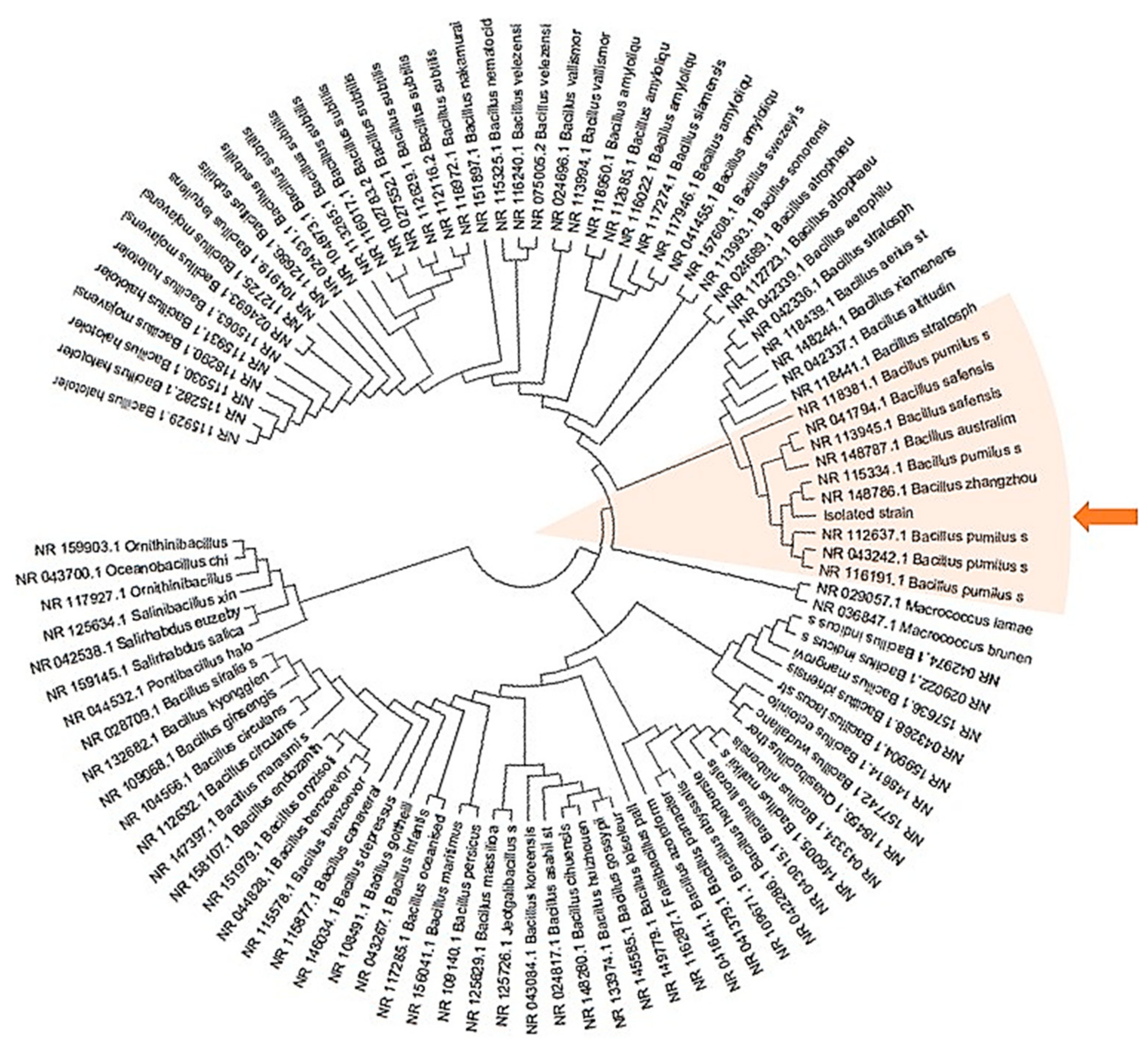 Ijms 22 01773 g002 Ijms 22 01773 g002