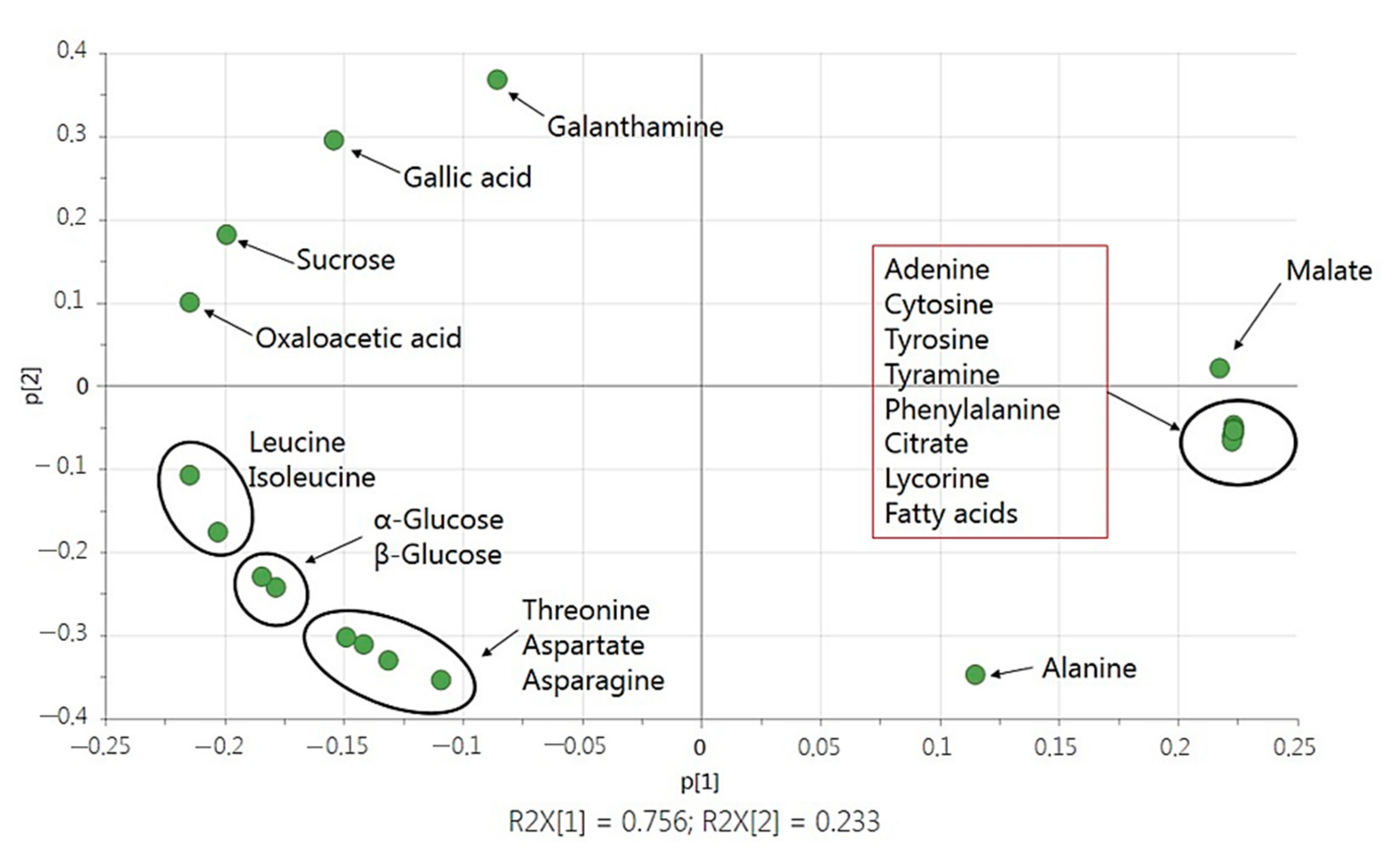 Ijms 22 01773 g005 Ijms 22 01773 g005