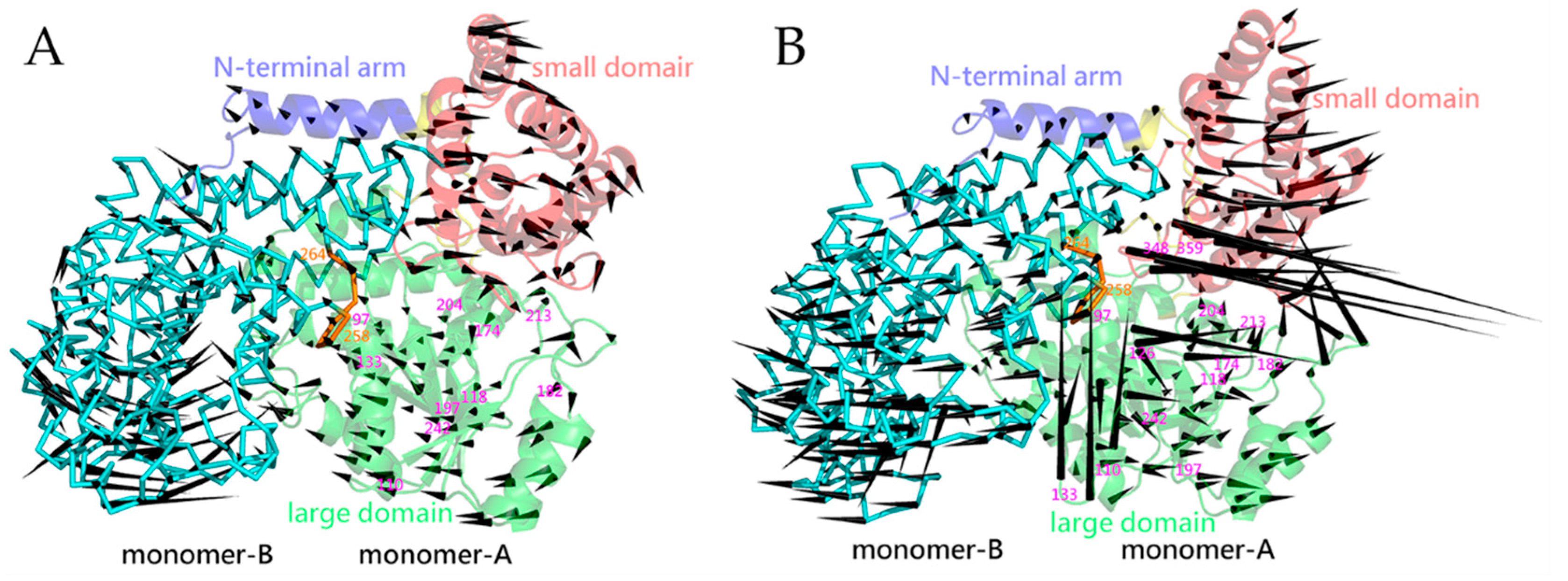 Ijms 22 01781 g005 Ijms 22 01781 g005