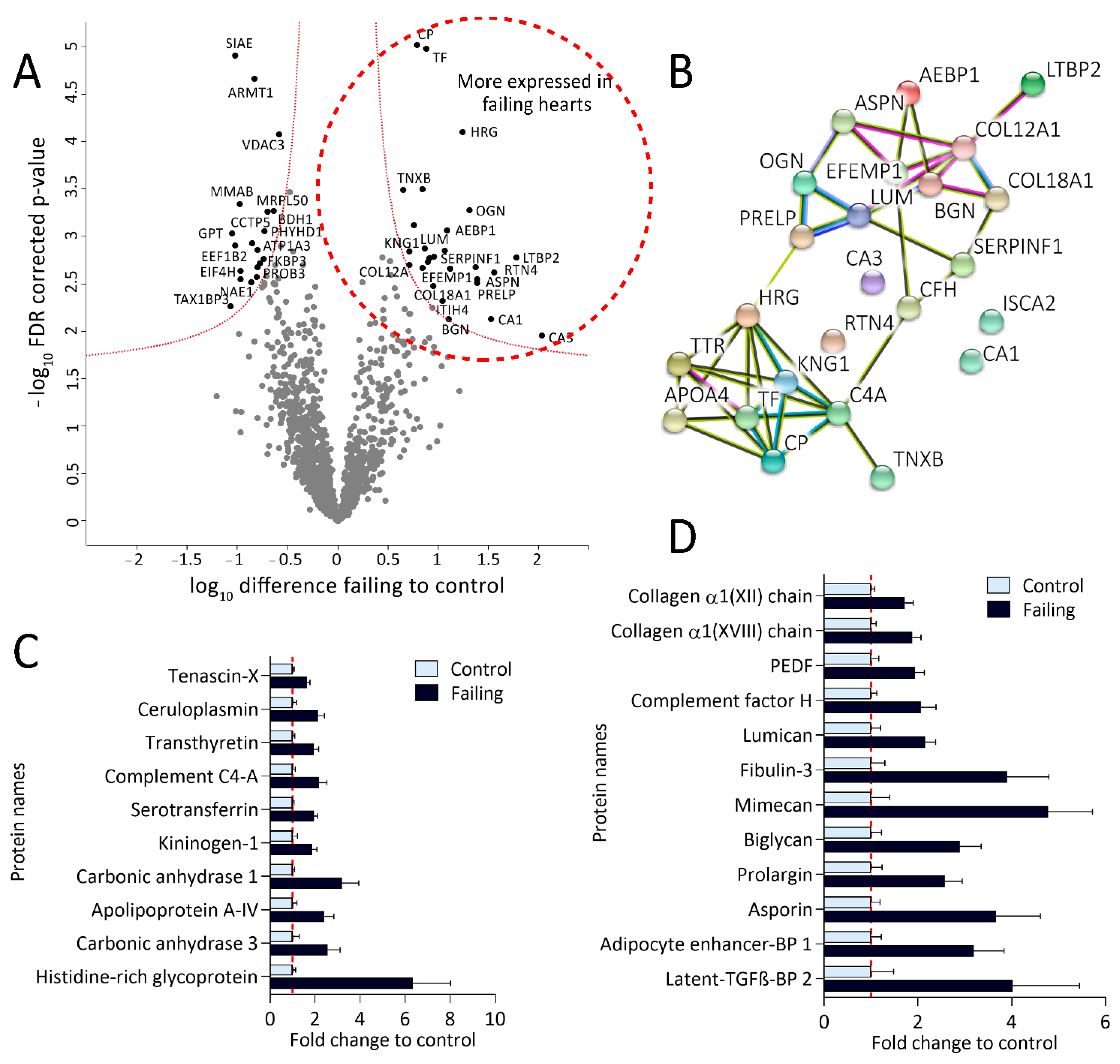 Ijms 22 01787 g004 Ijms 22 01787 g004