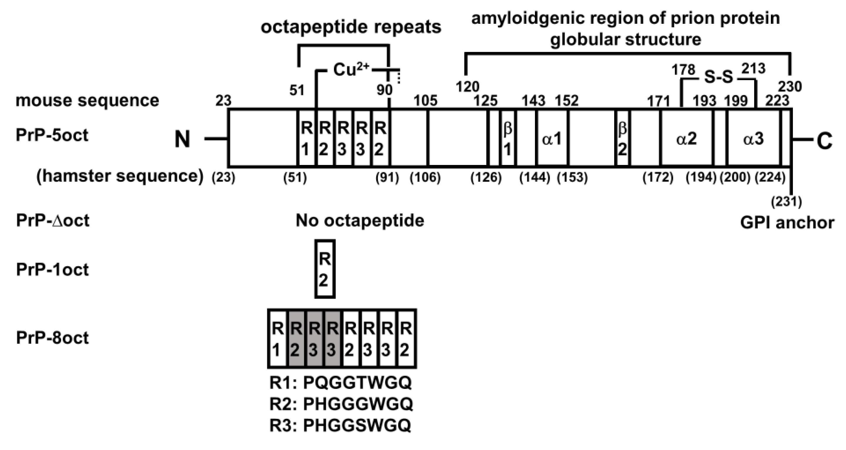 Ijms 22 01800 g001 Ijms 22 01800 g001