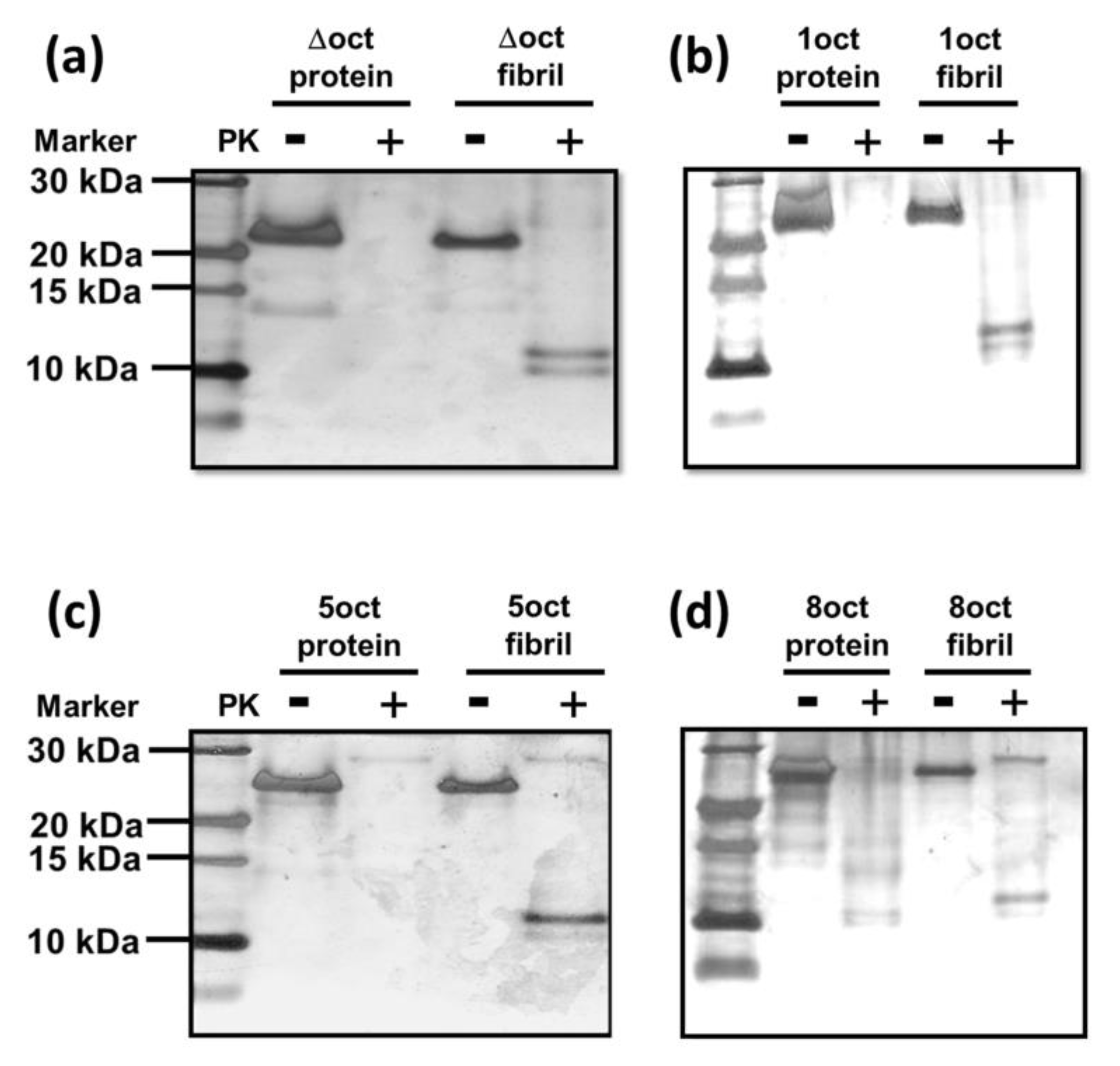 Ijms 22 01800 g006 Ijms 22 01800 g006