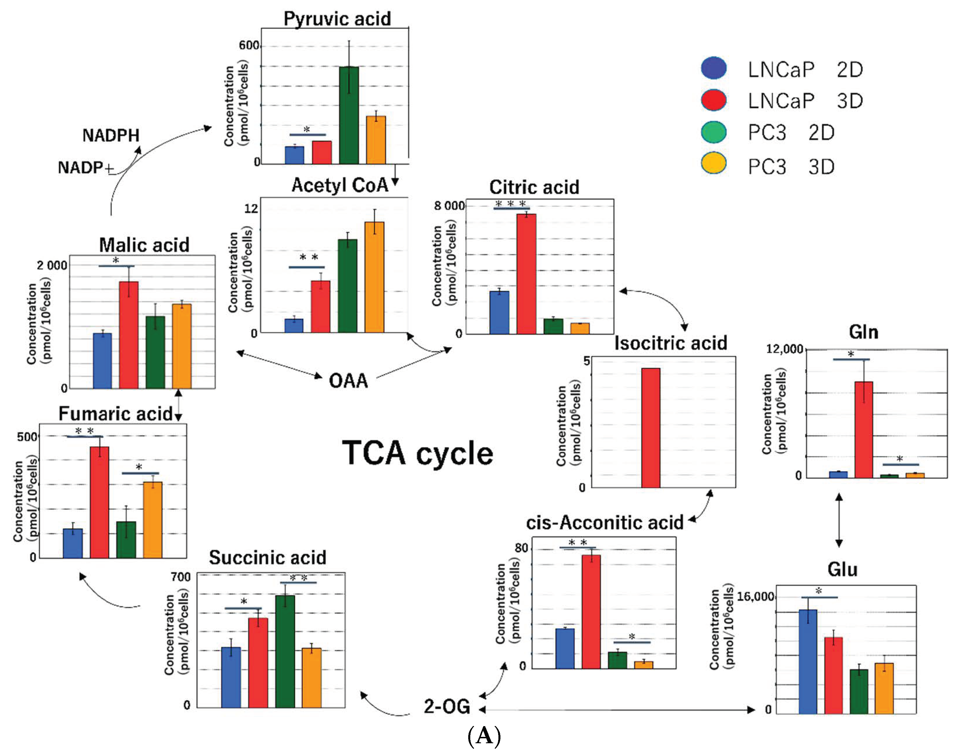 Ijms 22 01805 g007a Ijms 22 01805 g007a