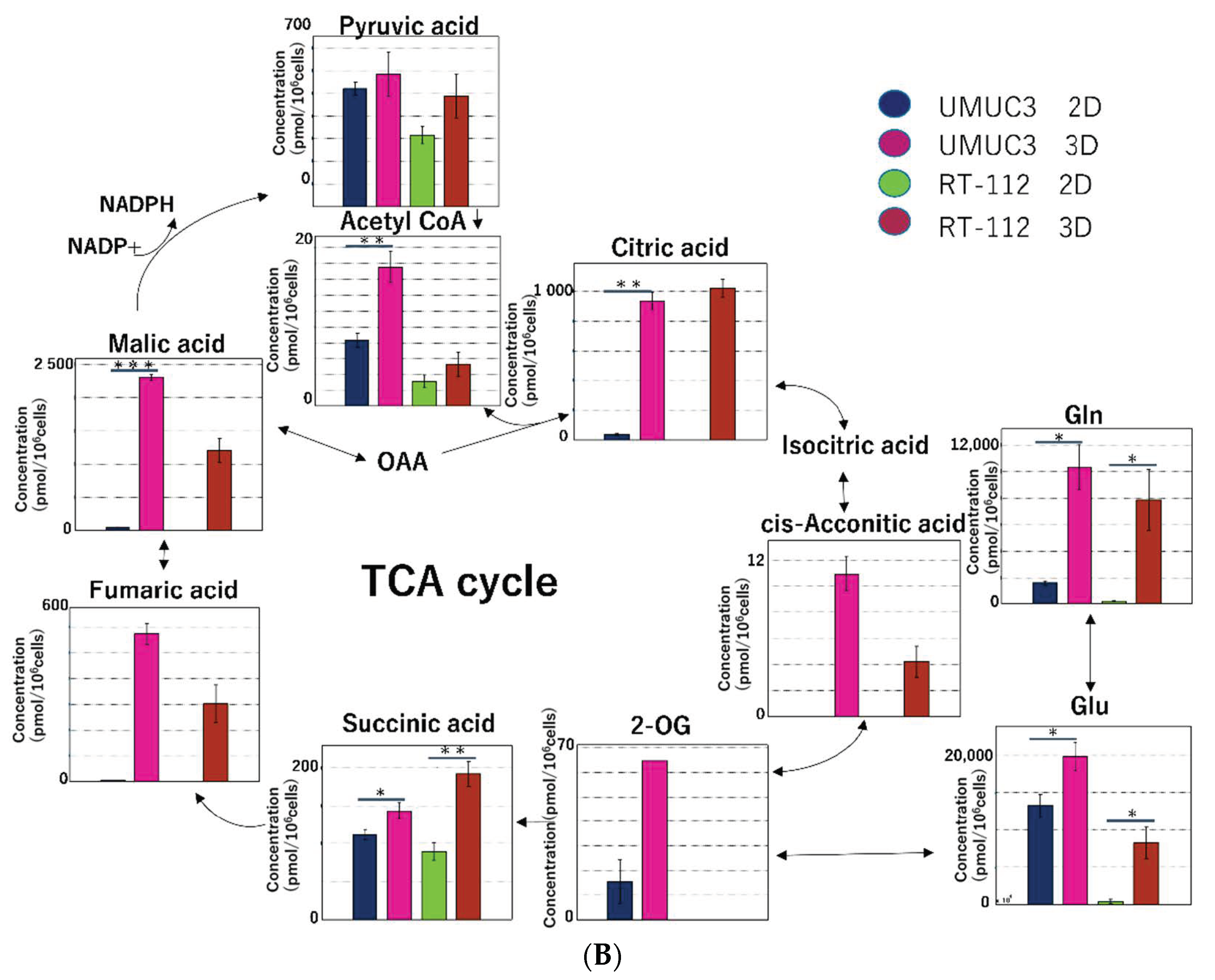 Ijms 22 01805 g007b Ijms 22 01805 g007b