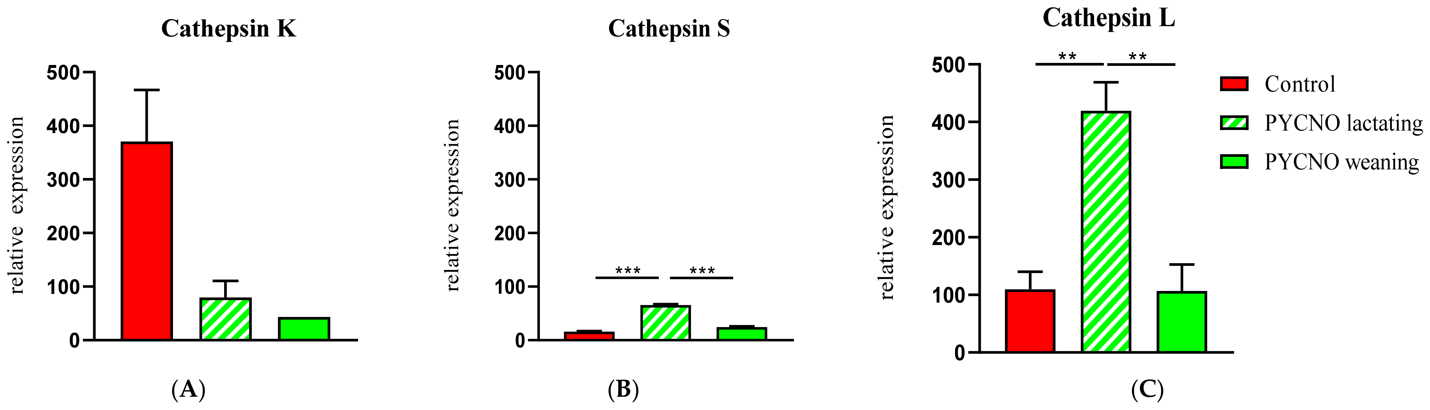 Ijms 22 01810 g003 Ijms 22 01810 g003