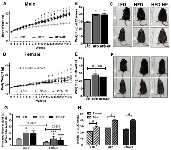 https://www.mdpi.com/ijms/ijms-22-01822/article_deploy/html/images/ijms-22-01822-g001-550.jpg