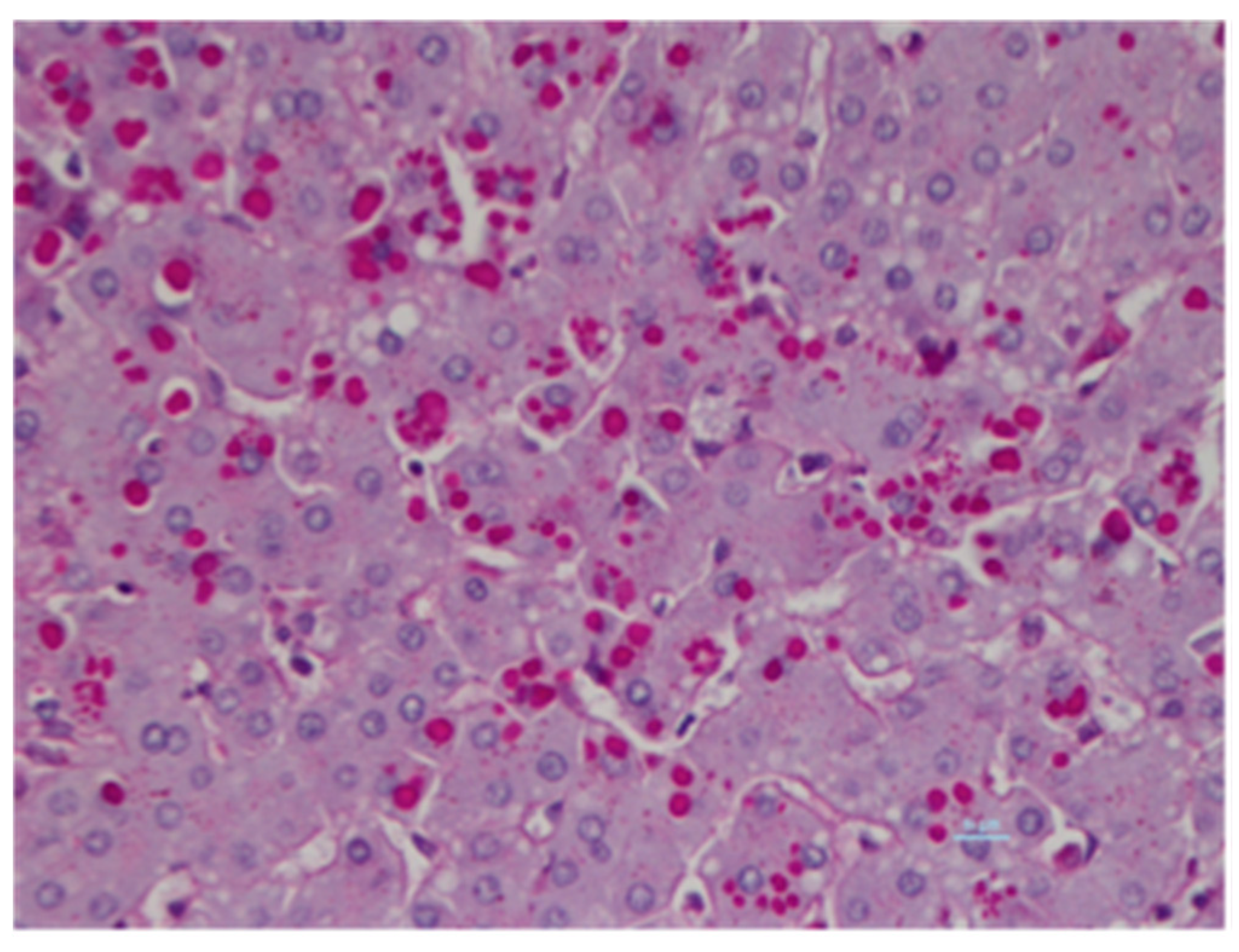 Ijms 22 01875 g001 Ijms 22 01875 g001