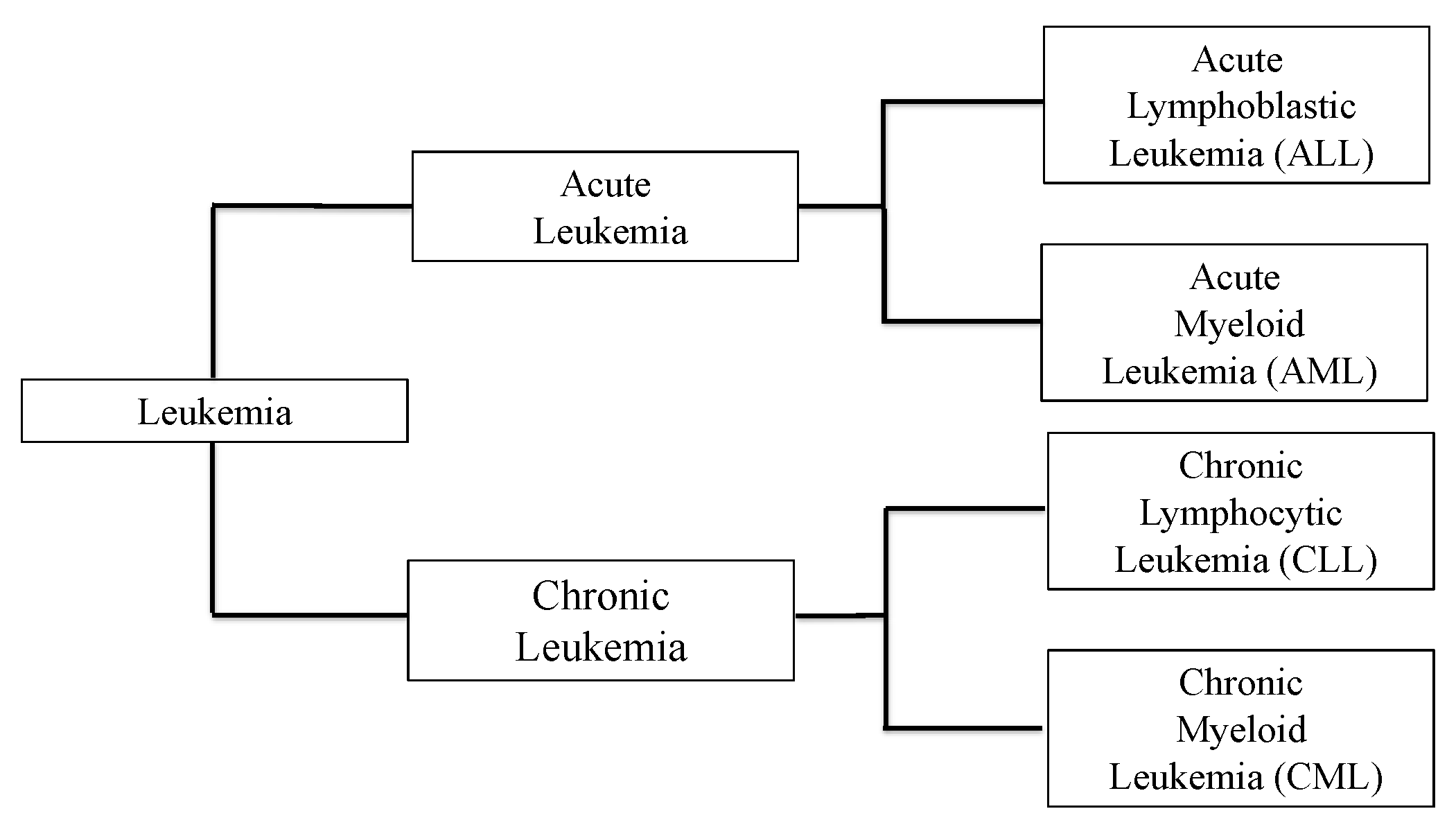 chronic leukemia vs acute leukemia