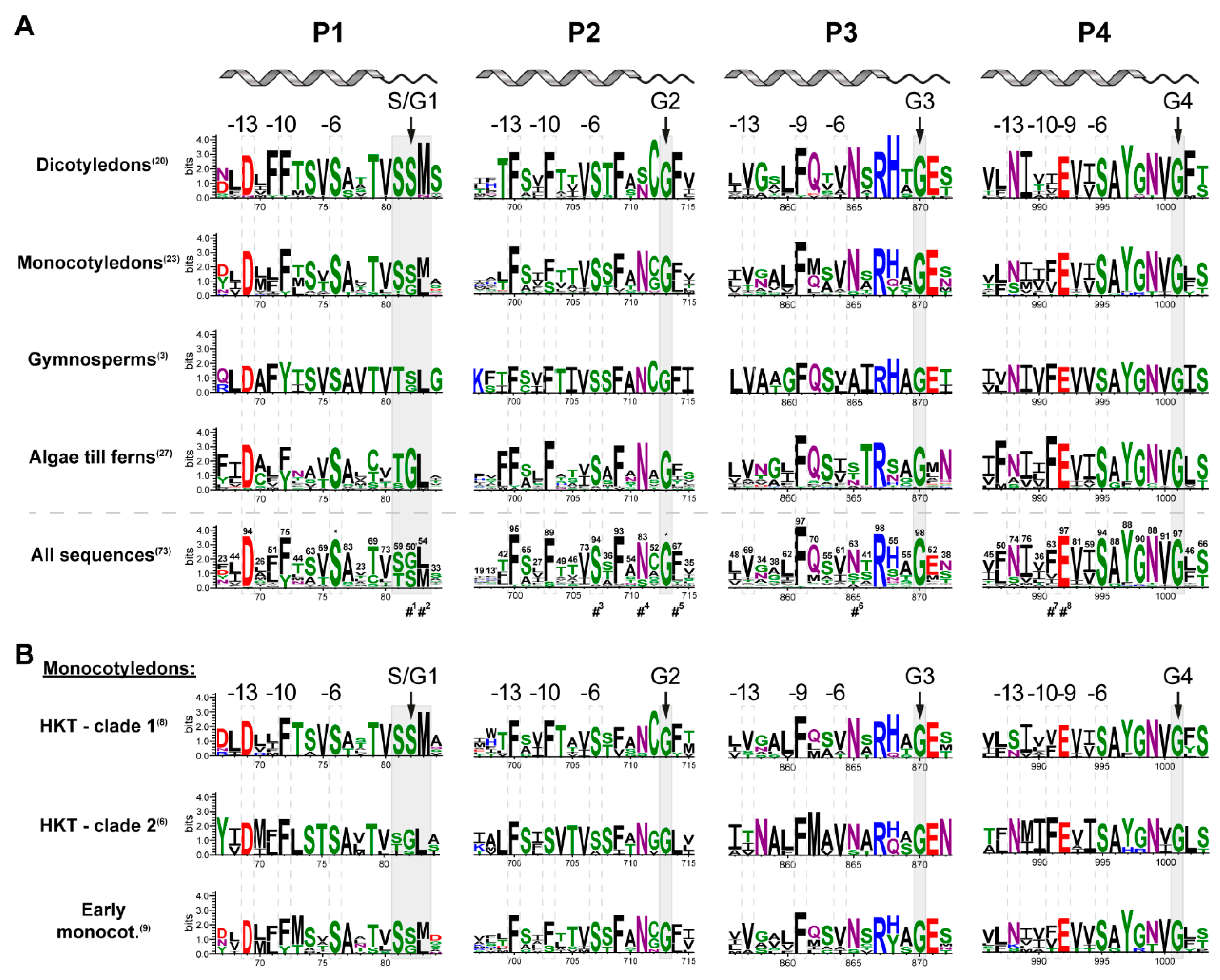 Ijms 22 01892 g002 Ijms 22 01892 g002