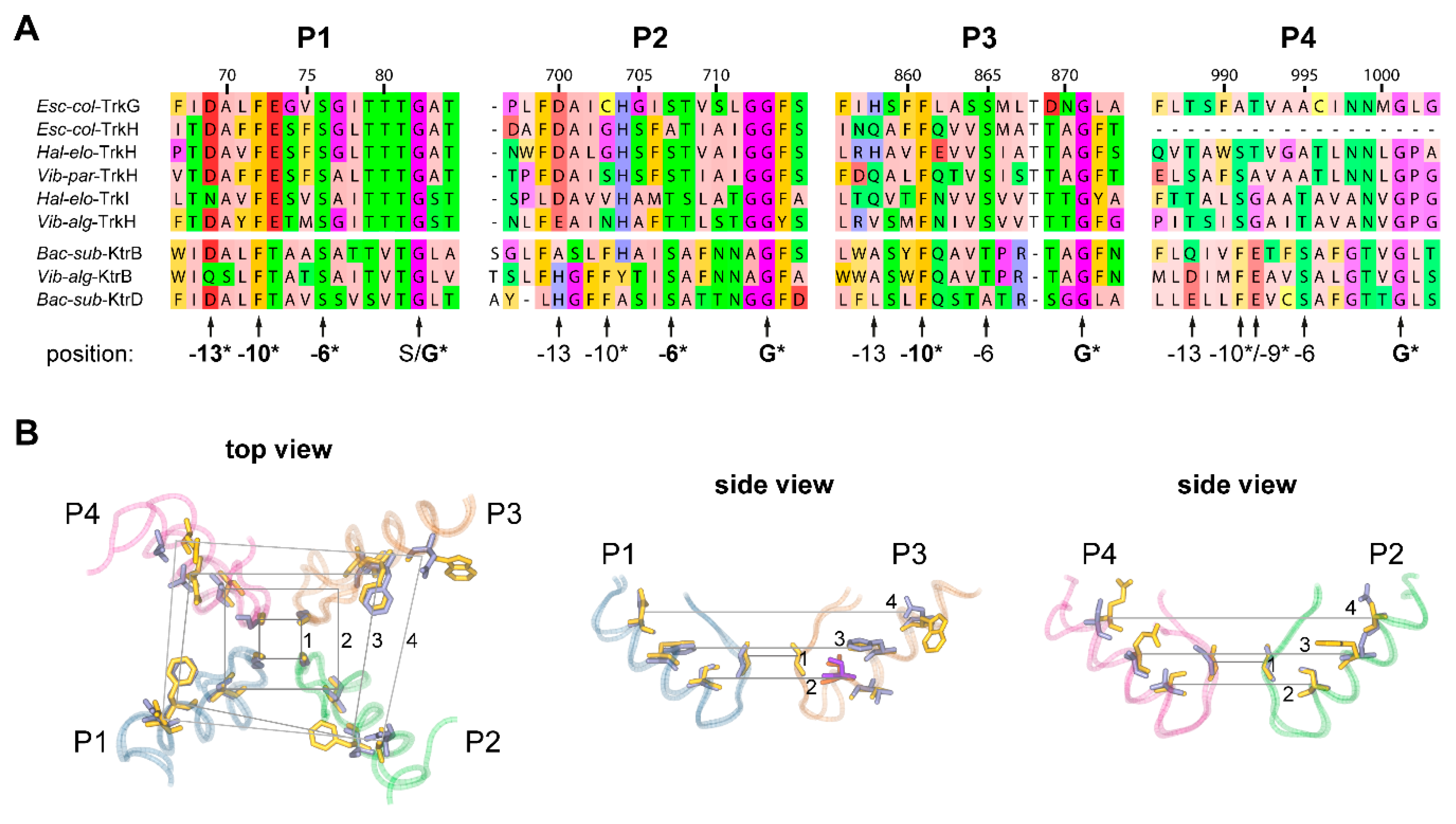 Ijms 22 01892 g003 Ijms 22 01892 g003