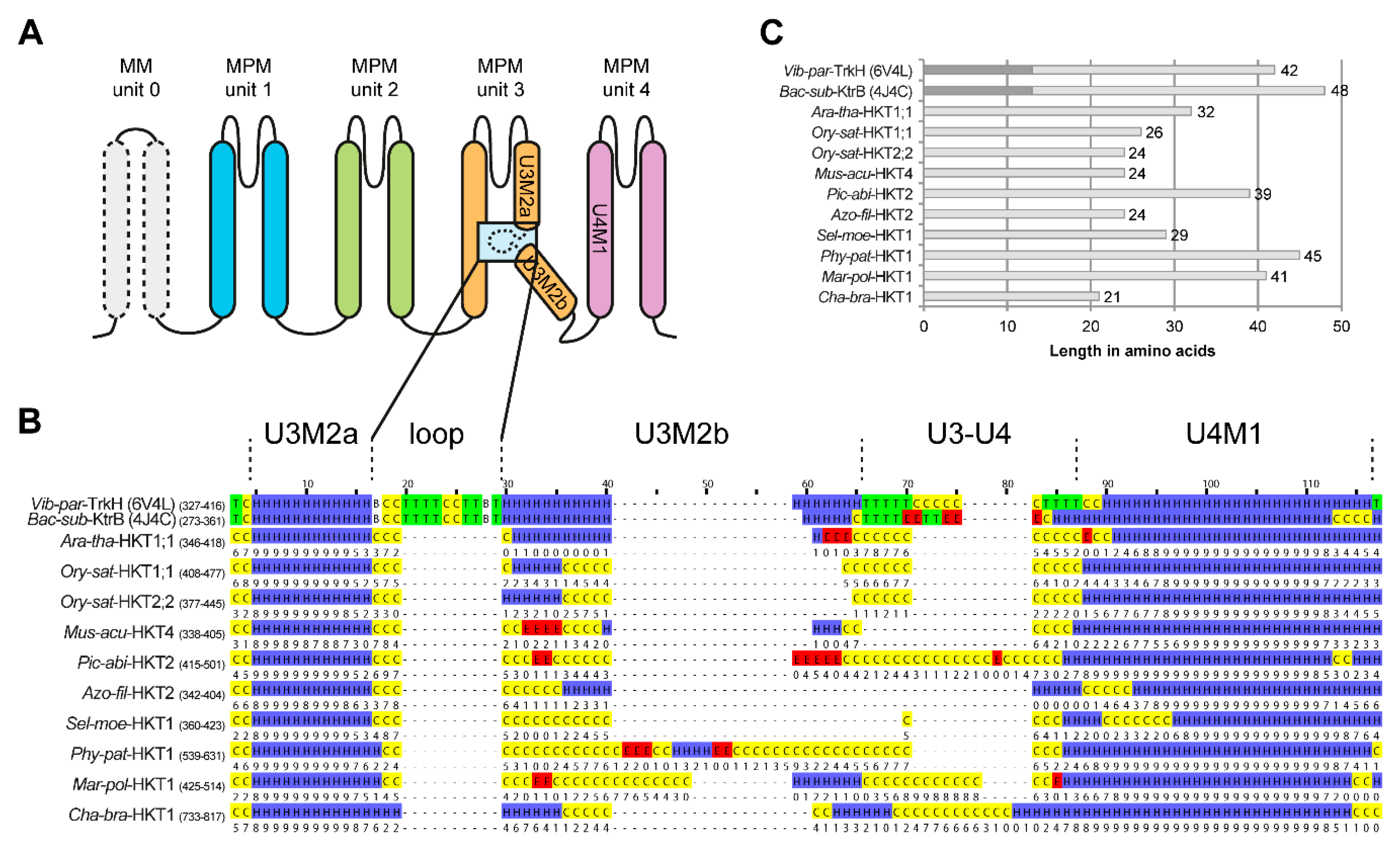 Ijms 22 01892 g004 Ijms 22 01892 g004