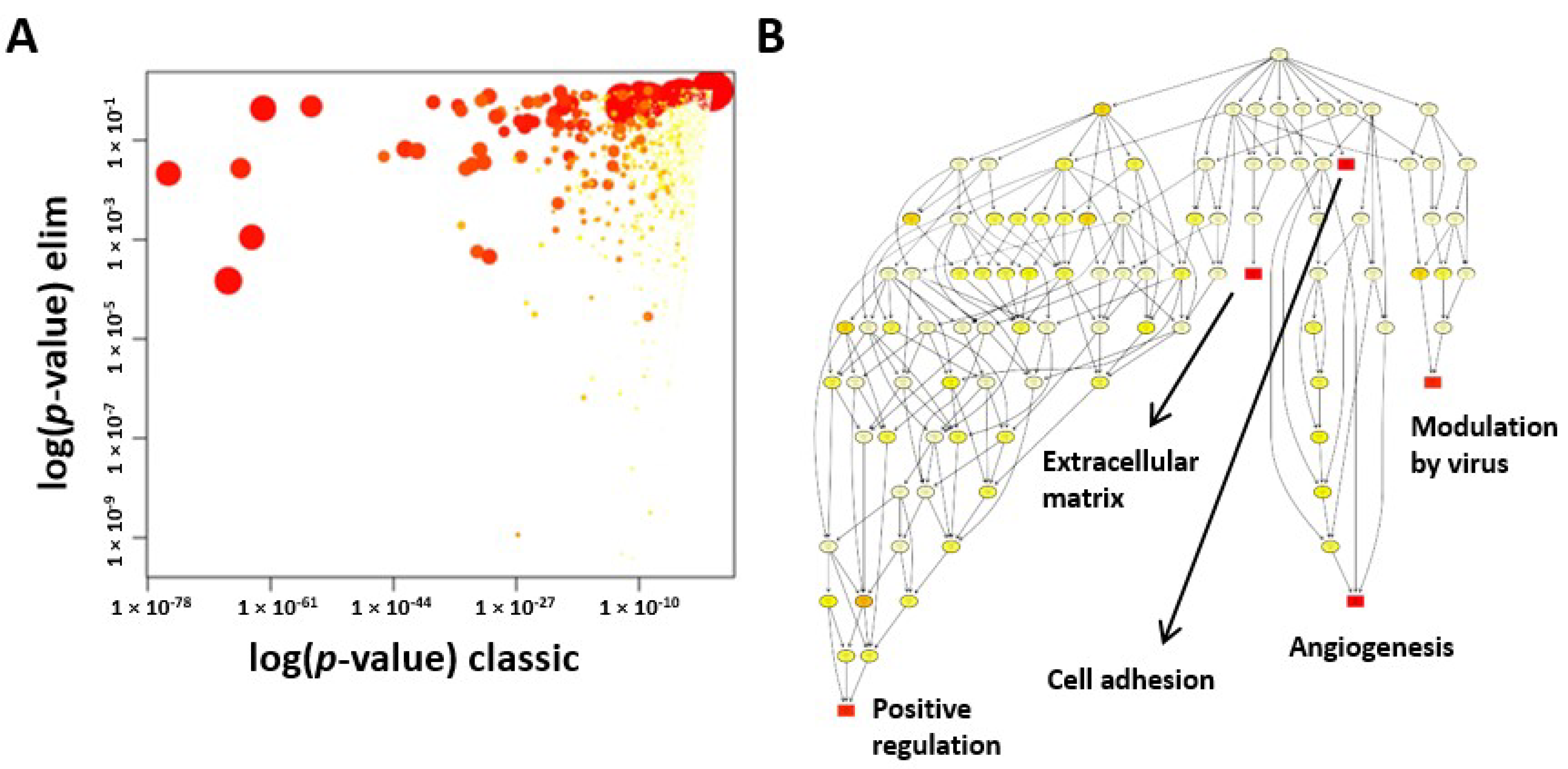 Ijms 22 01901 g003 Ijms 22 01901 g003