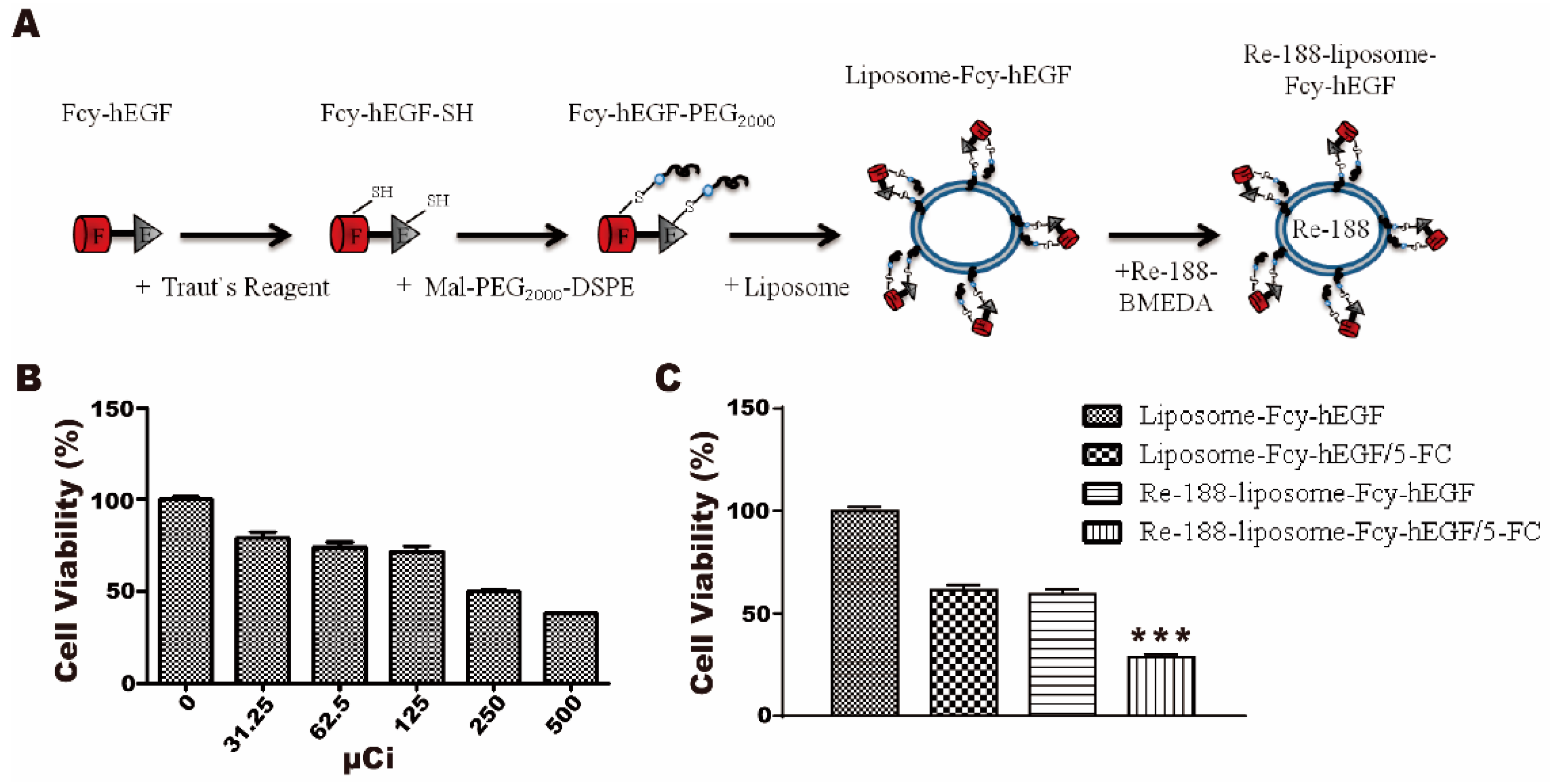 Ijms 22 01902 g004 Ijms 22 01902 g004