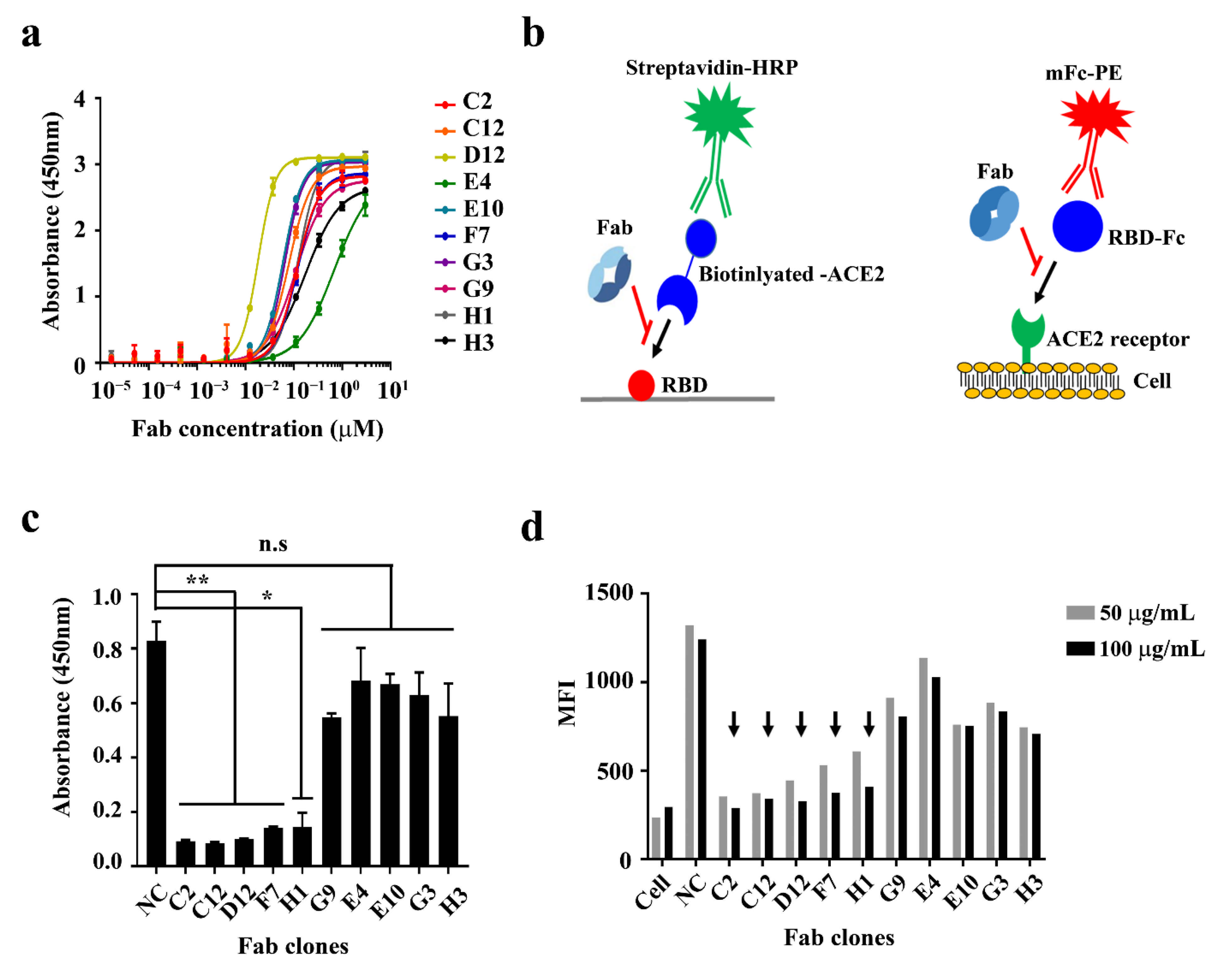 Ijms 22 01913 g002 Ijms 22 01913 g002