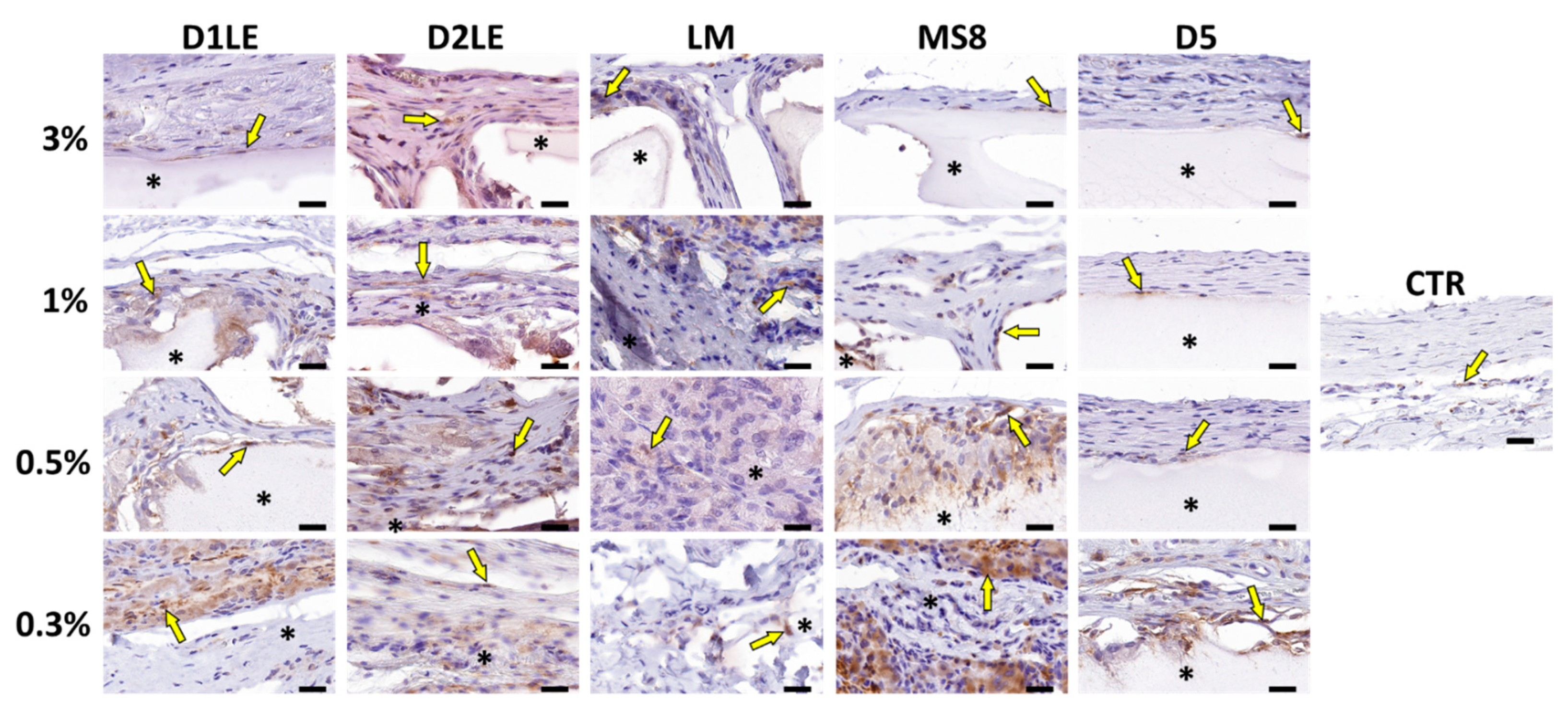 Ijms 22 01923 g009 Ijms 22 01923 g009