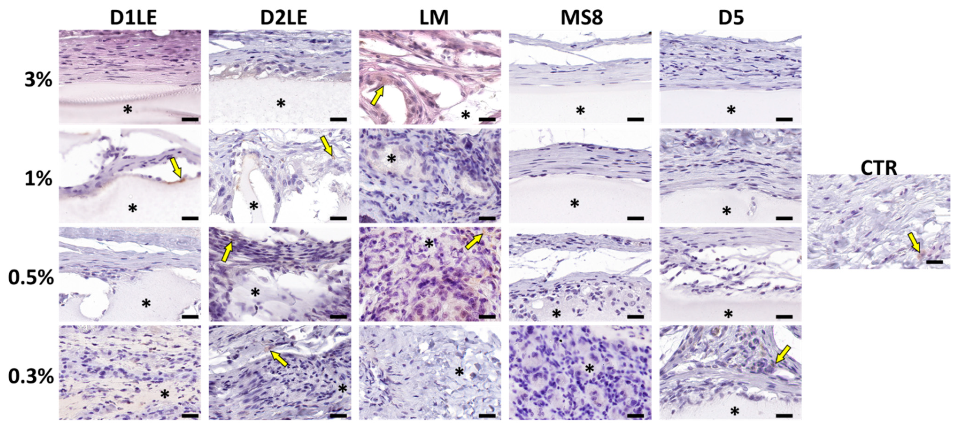 Ijms 22 01923 g010 Ijms 22 01923 g010
