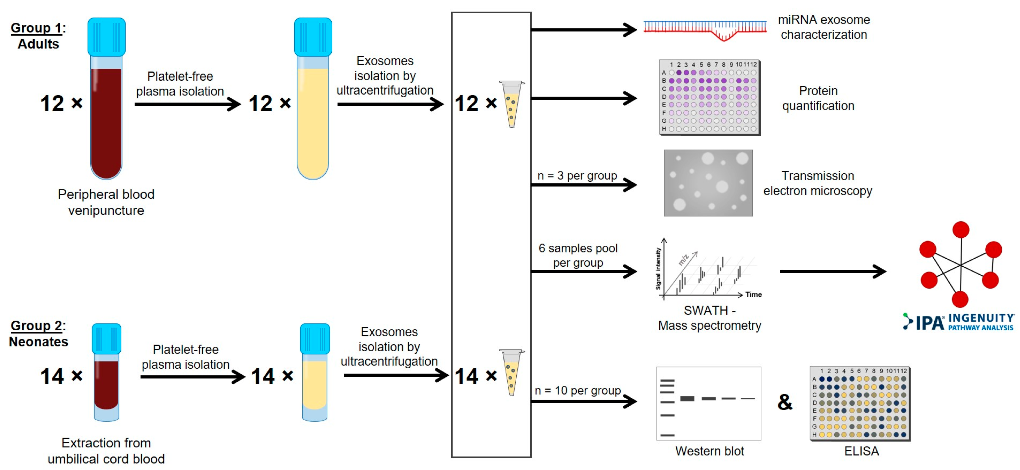 Ijms 22 01926 g001 Ijms 22 01926 g001