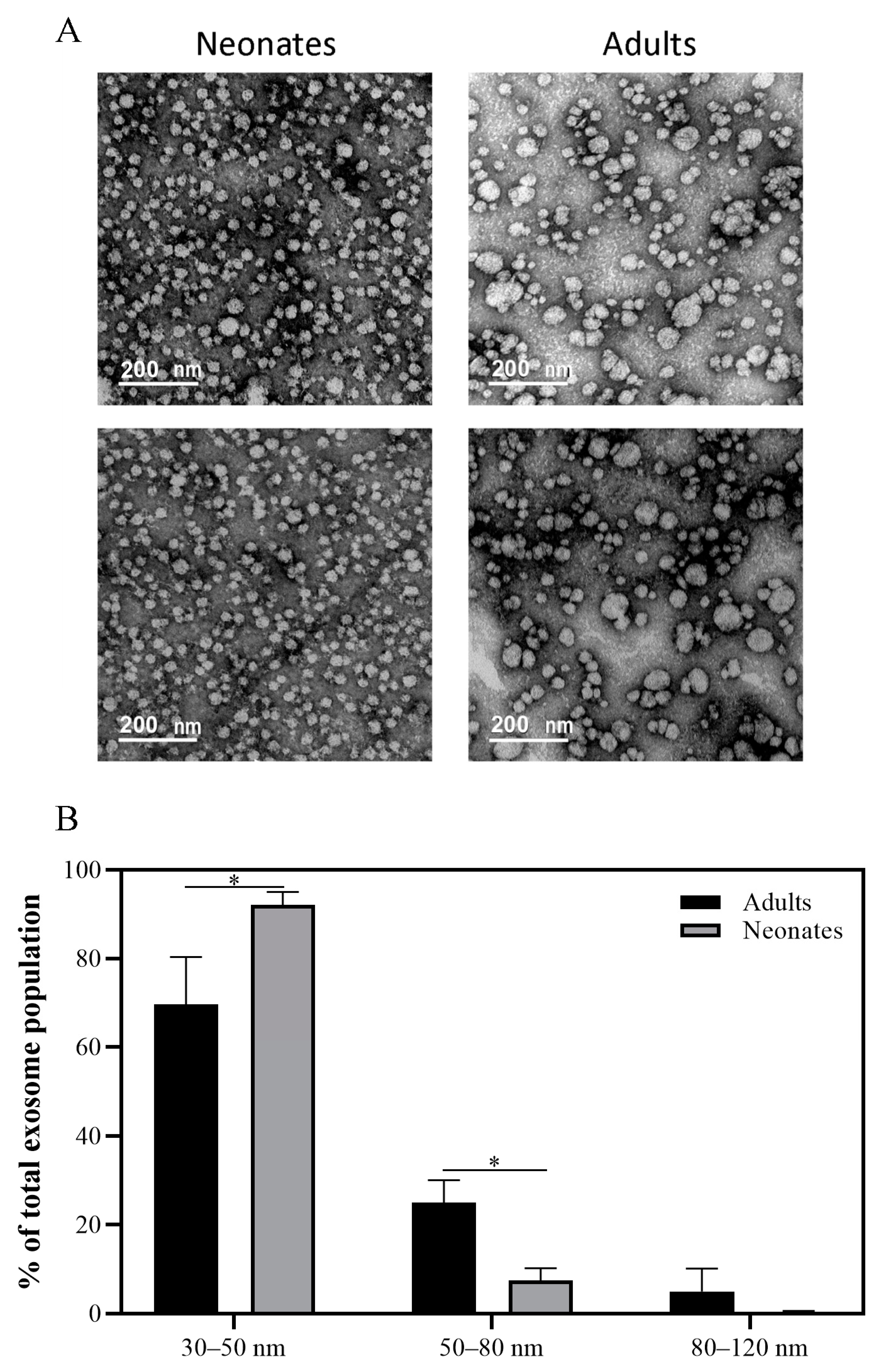 Ijms 22 01926 g002 Ijms 22 01926 g002
