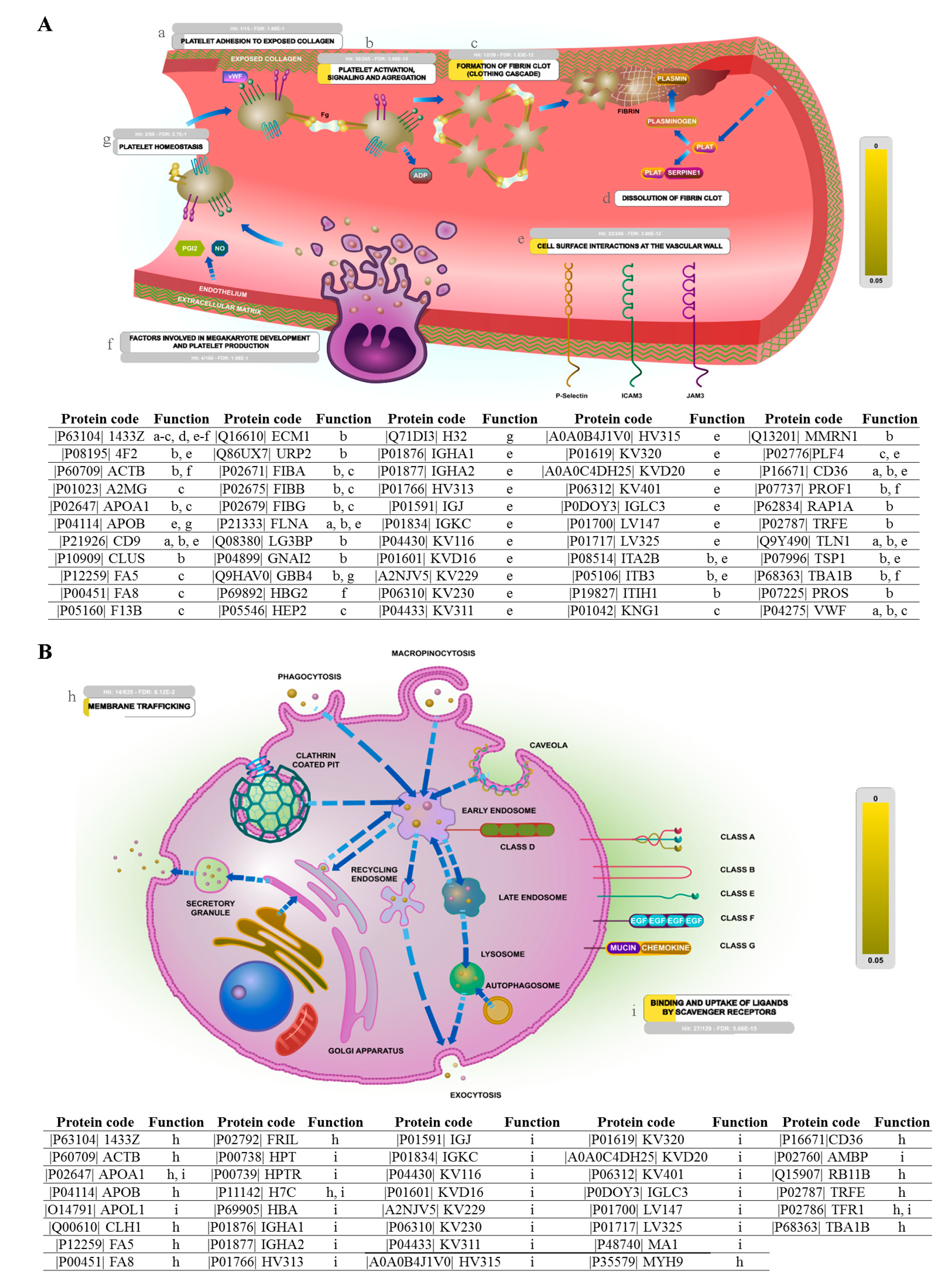 Ijms 22 01926 g004 Ijms 22 01926 g004