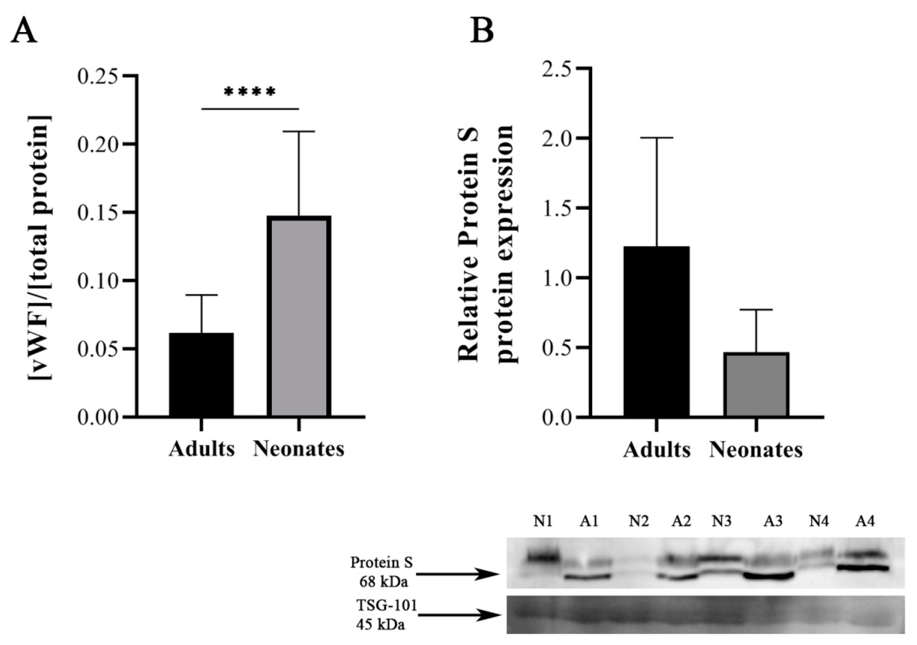 Ijms 22 01926 g005 Ijms 22 01926 g005