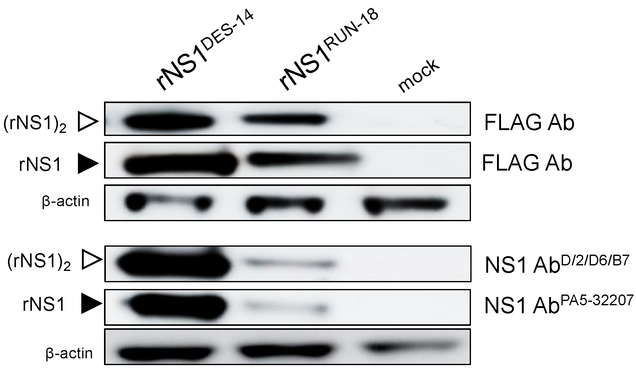 Ijms 22 01951 g003 Ijms 22 01951 g003