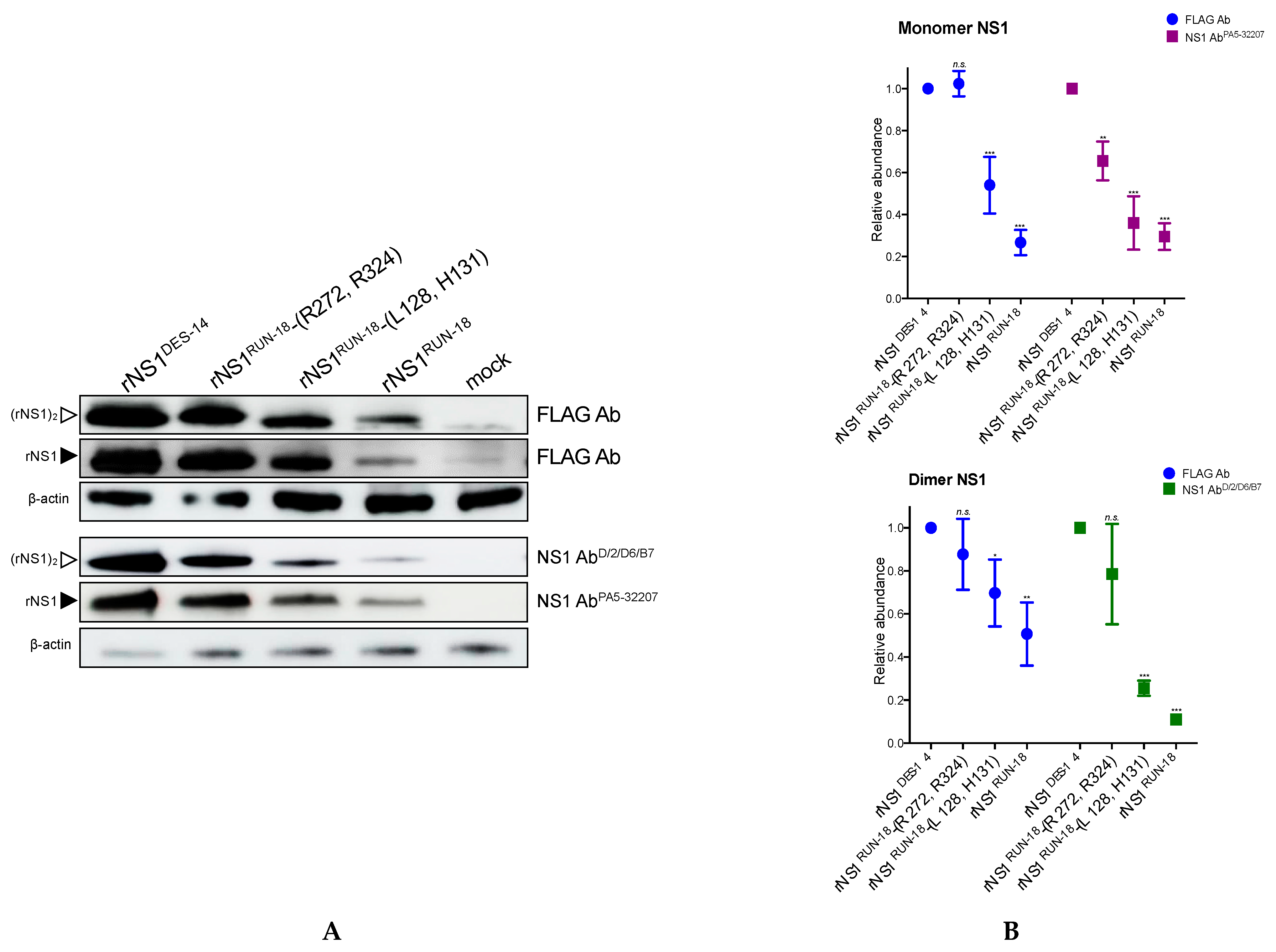 Ijms 22 01951 g004 Ijms 22 01951 g004