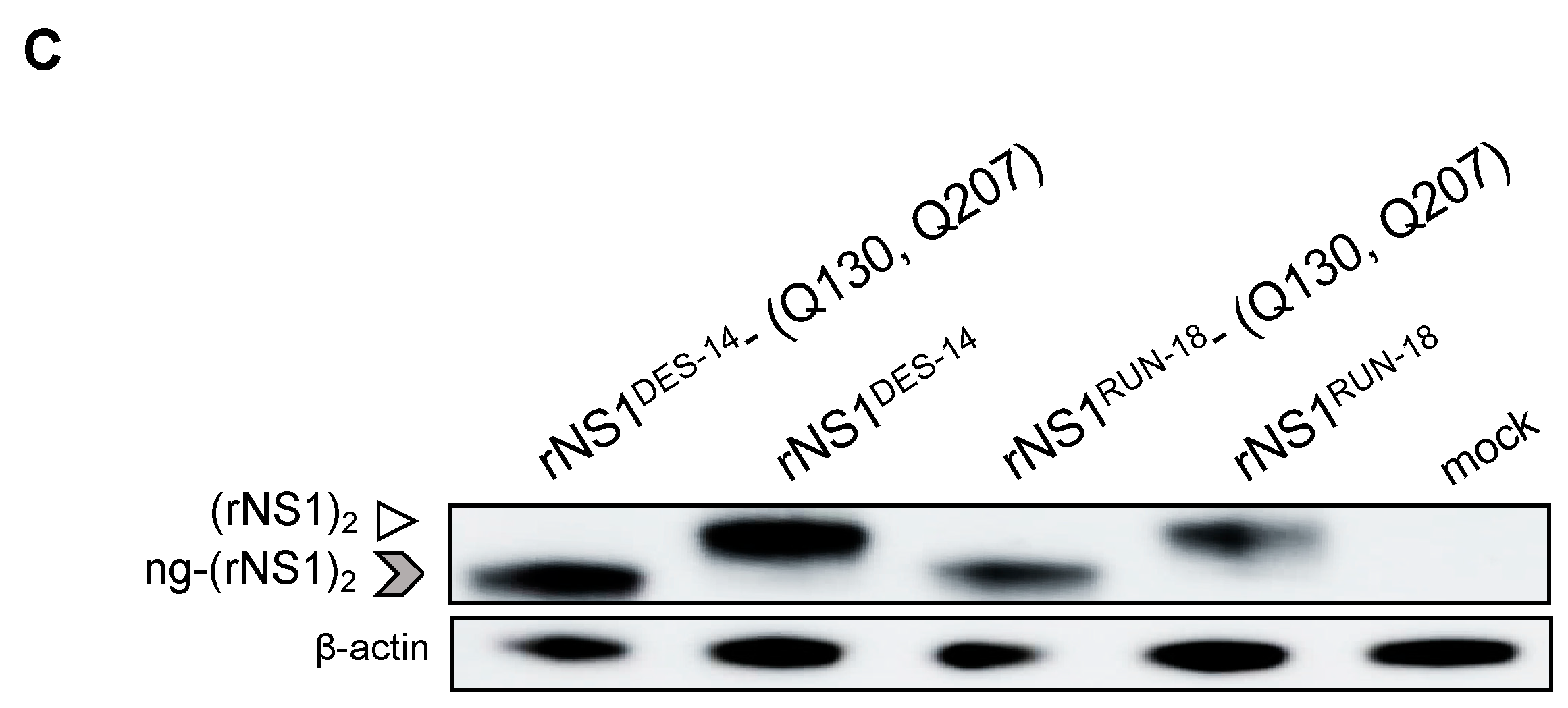 Ijms 22 01951 g006b Ijms 22 01951 g006b