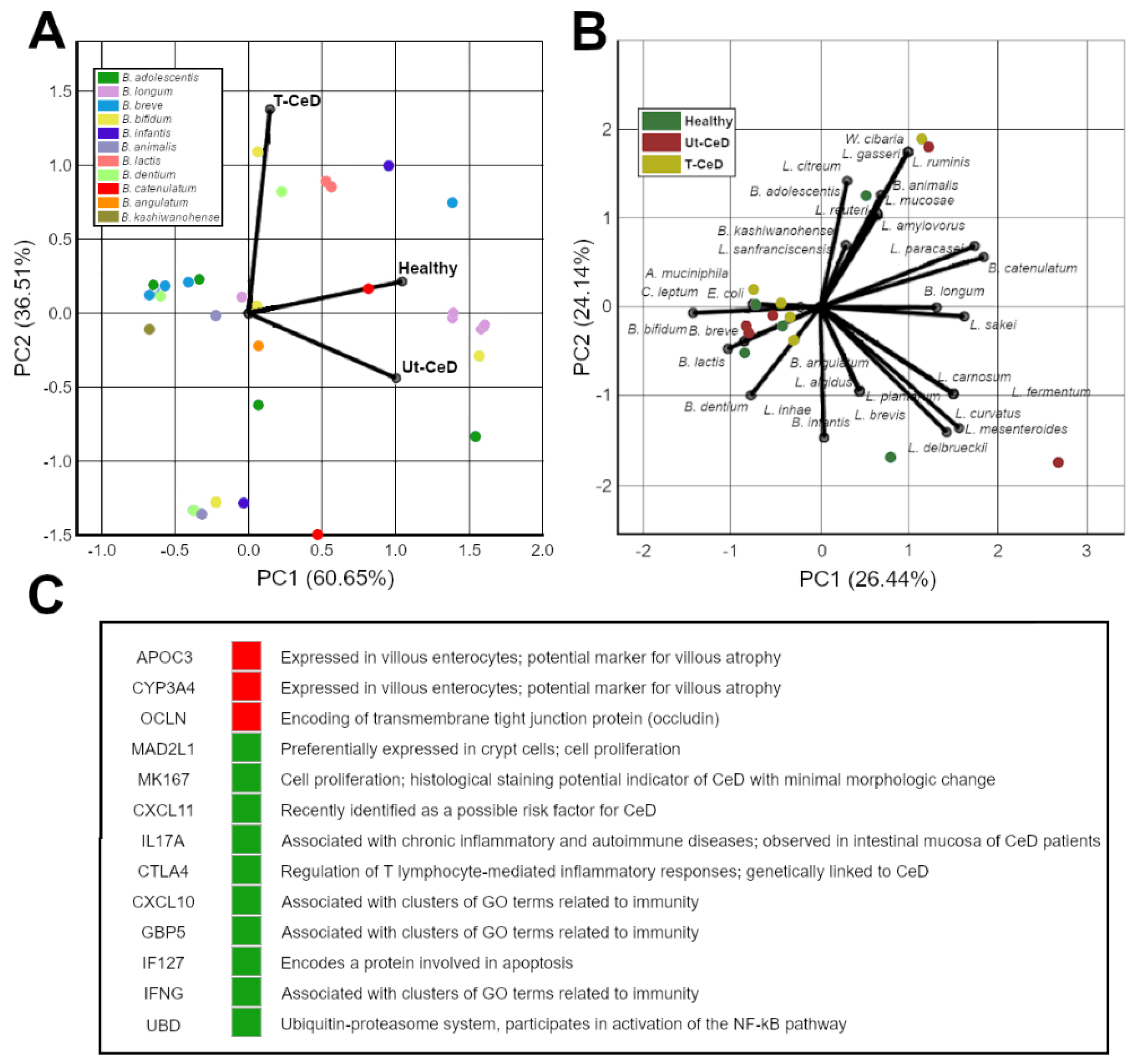 Ijms 22 01965 g007 Ijms 22 01965 g007