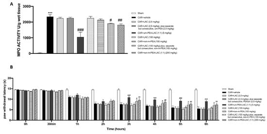 IJMS | Free Full-Text | Effect Of Ultra-Micronized ...