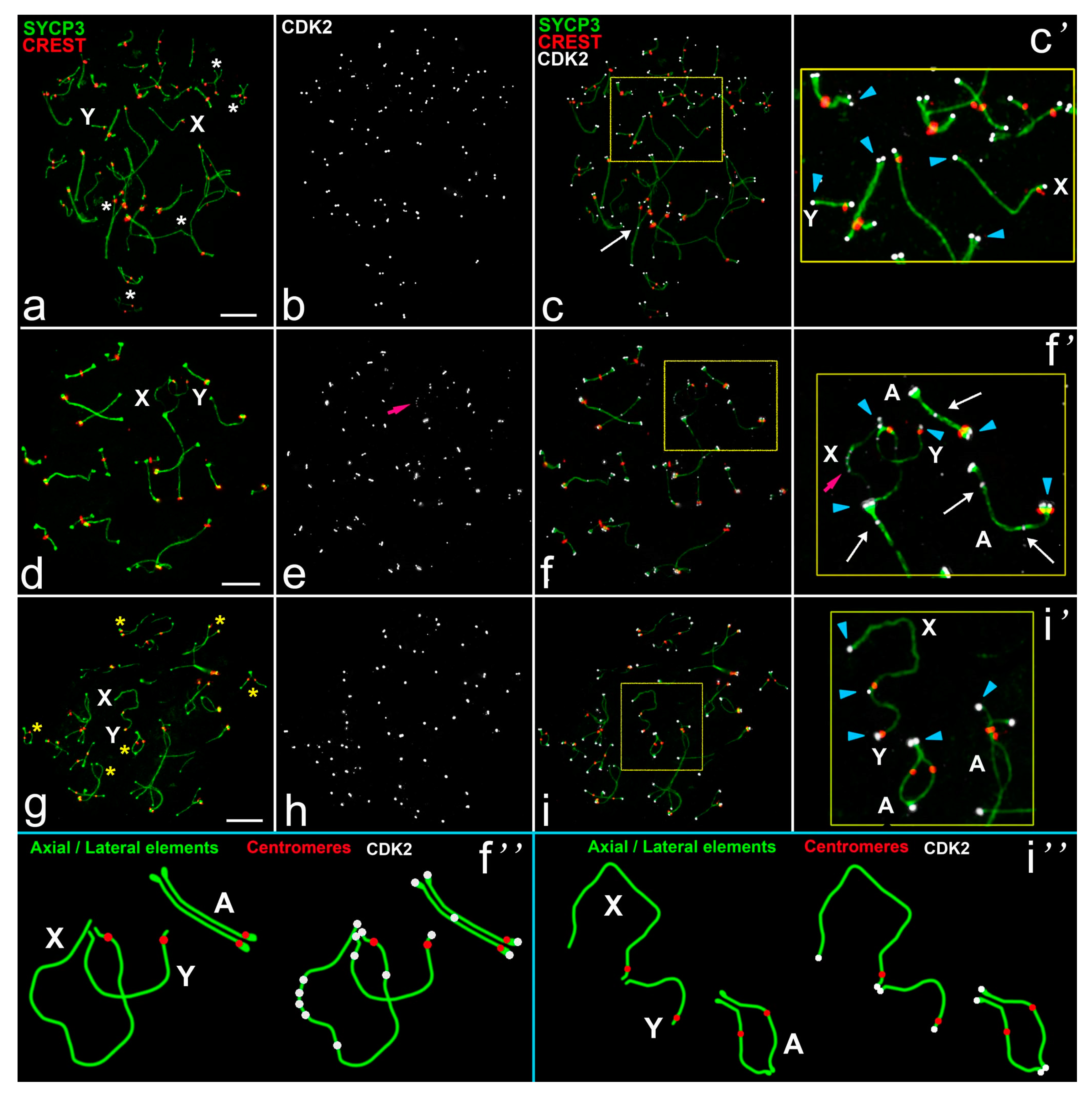 Ijms 22 01969 g001 Ijms 22 01969 g001