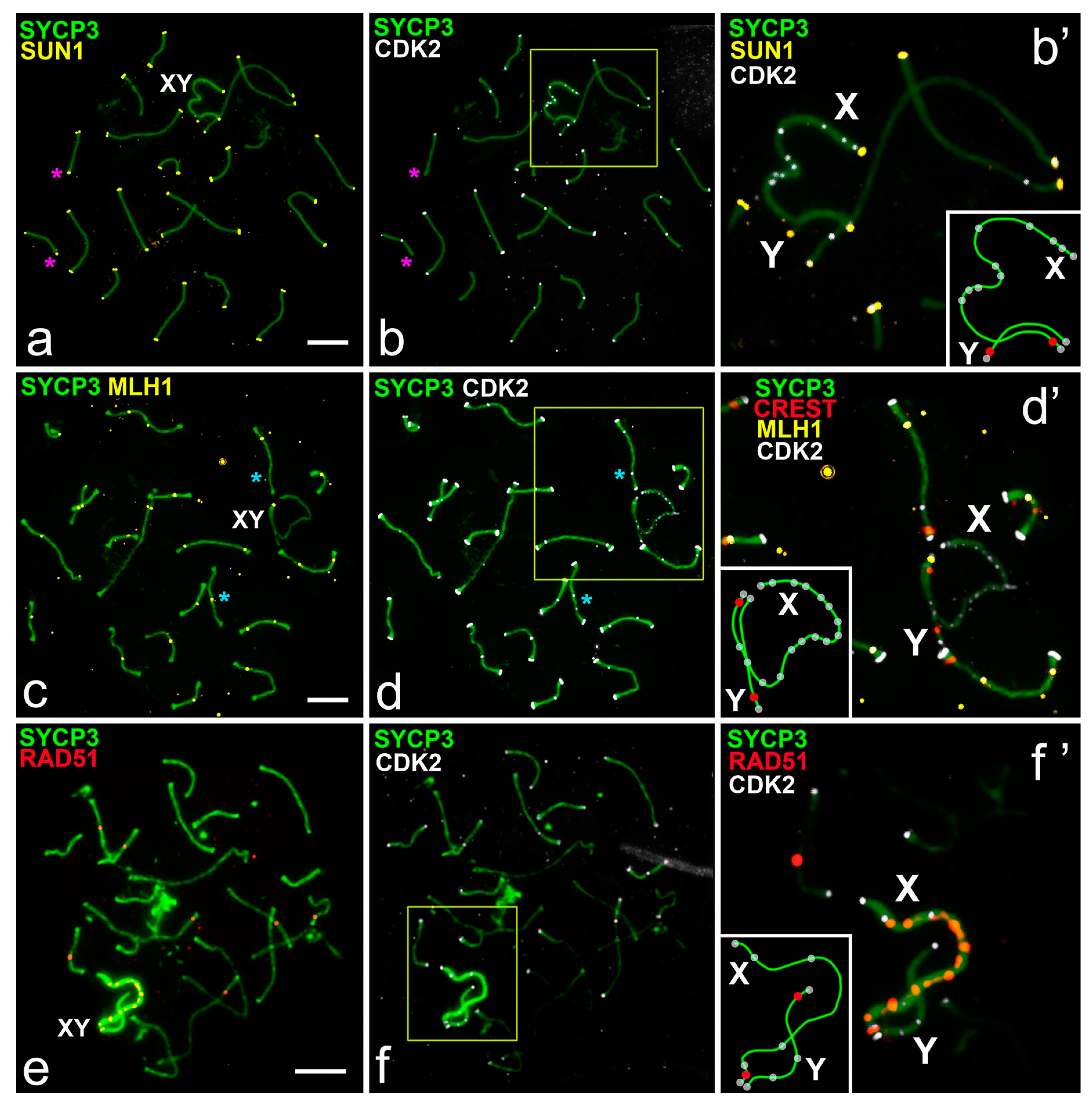 Ijms 22 01969 g002 Ijms 22 01969 g002