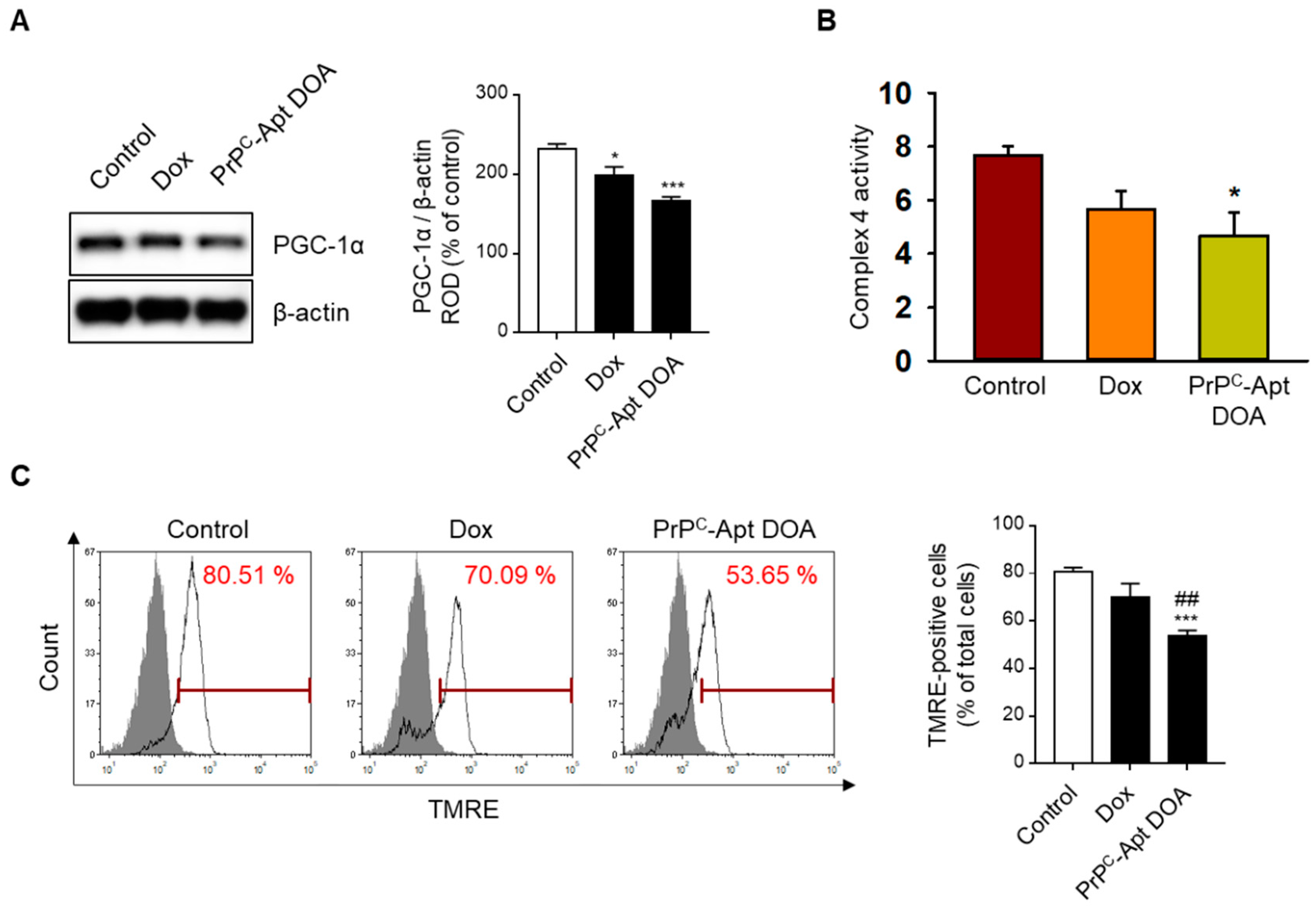 Ijms 22 01976 g004 Ijms 22 01976 g004