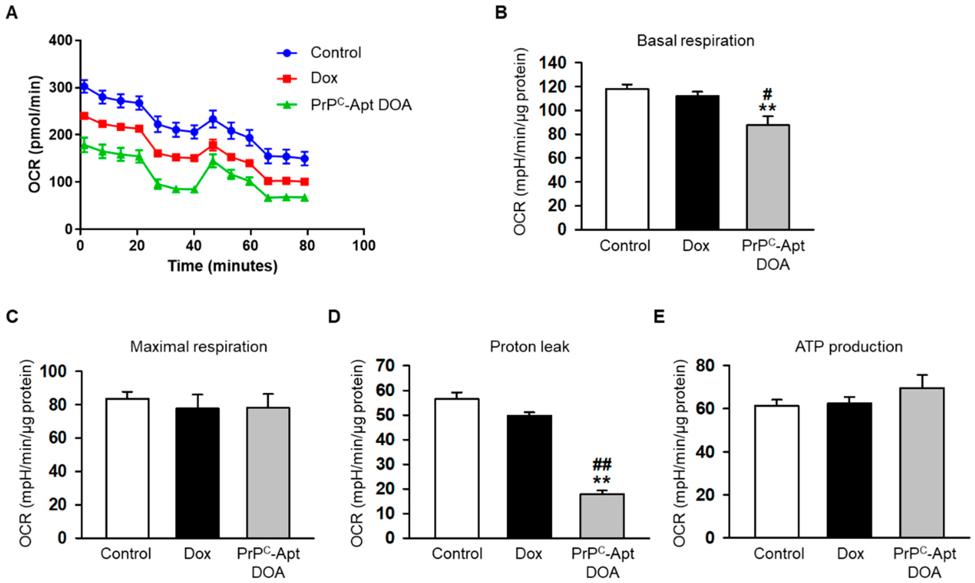 Ijms 22 01976 g005 Ijms 22 01976 g005