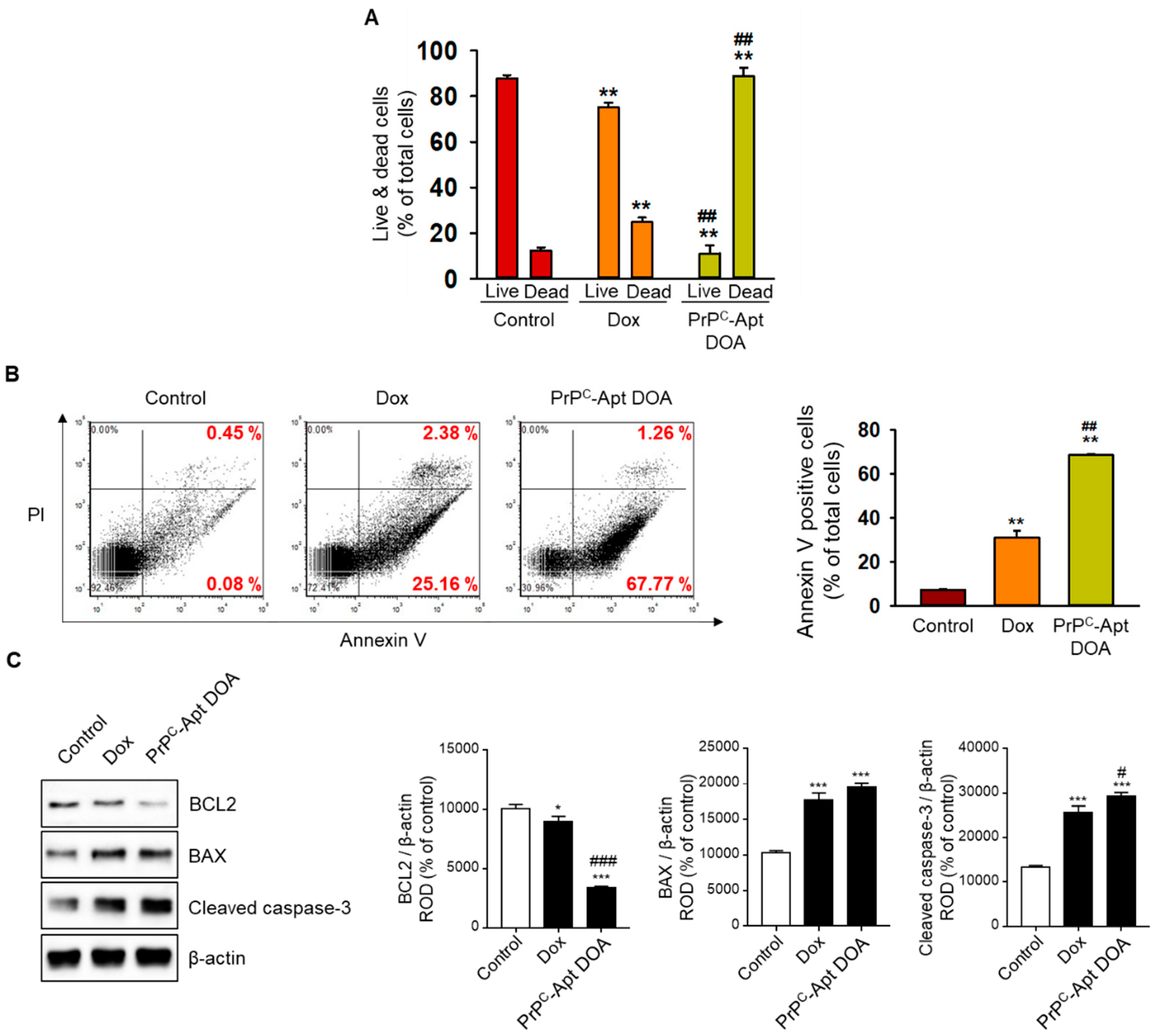 Ijms 22 01976 g007 Ijms 22 01976 g007