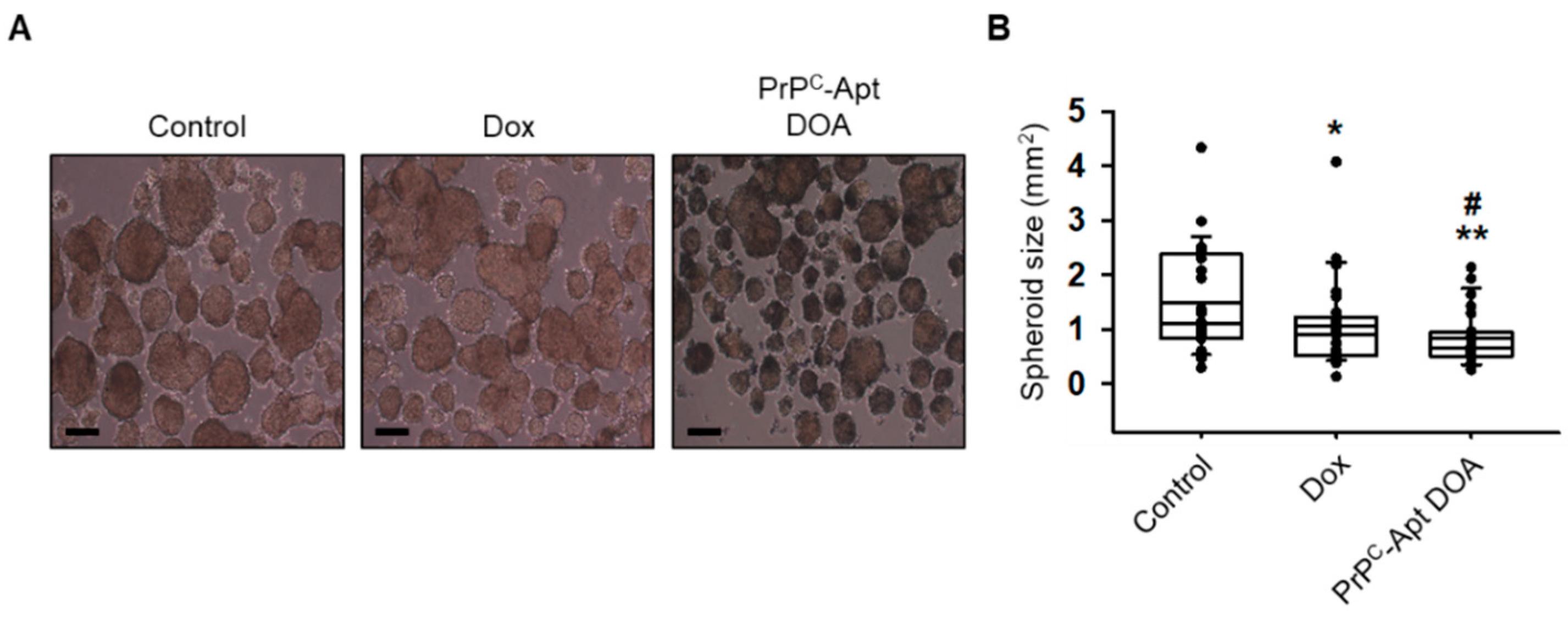 Ijms 22 01976 g008 Ijms 22 01976 g008