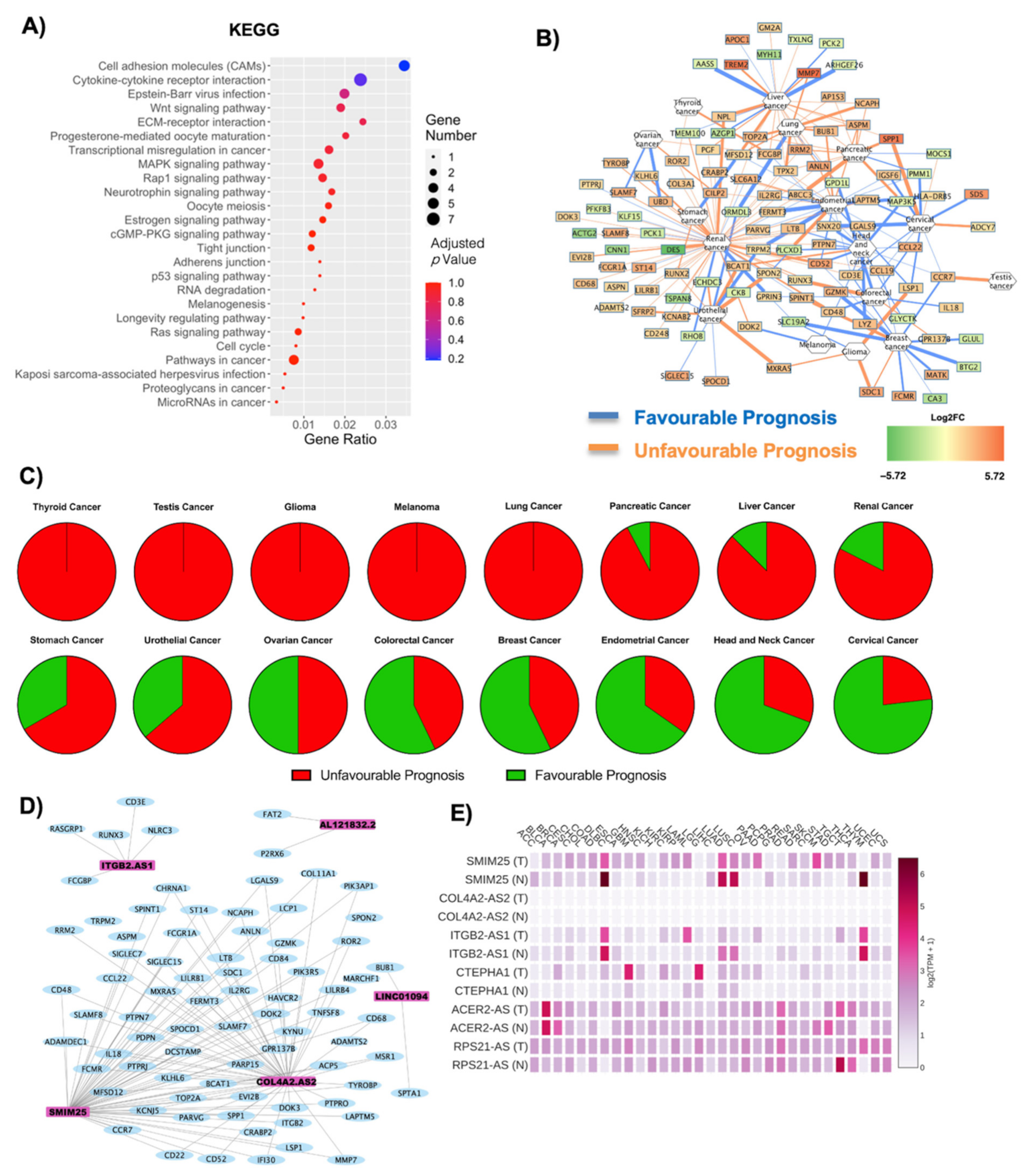 Ijms 22 01989 g003 Ijms 22 01989 g003