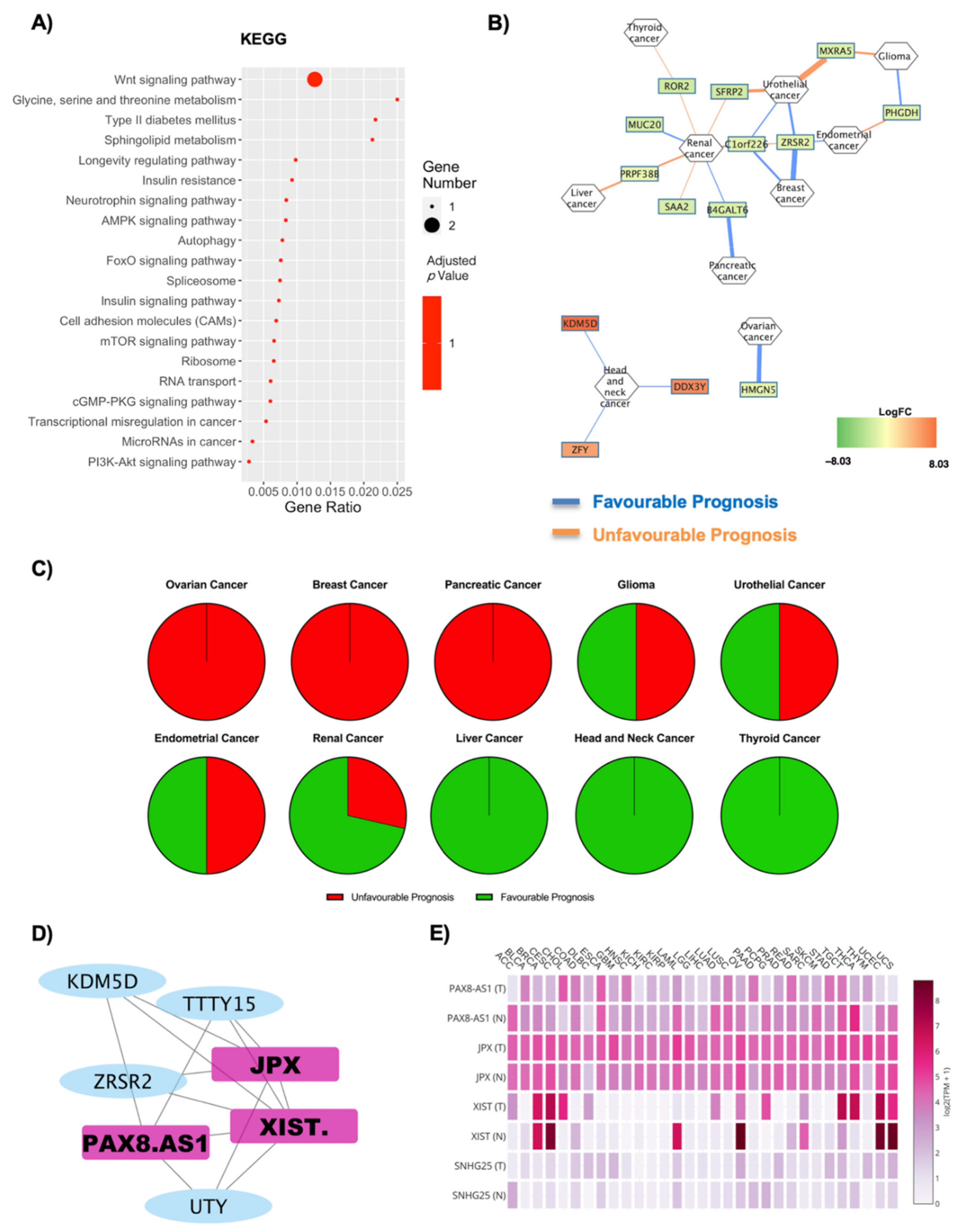 Ijms 22 01989 g006 Ijms 22 01989 g006