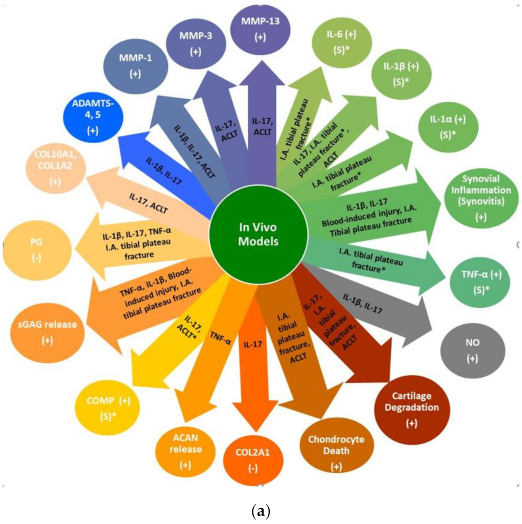 Ijms 22 01996 g002a Ijms 22 01996 g002a