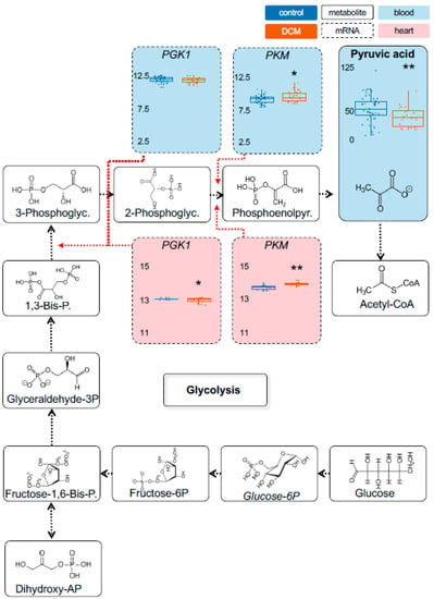 IJMS | Free Full-Text | Energy Metabolites as Biomarkers in Ischemic ...