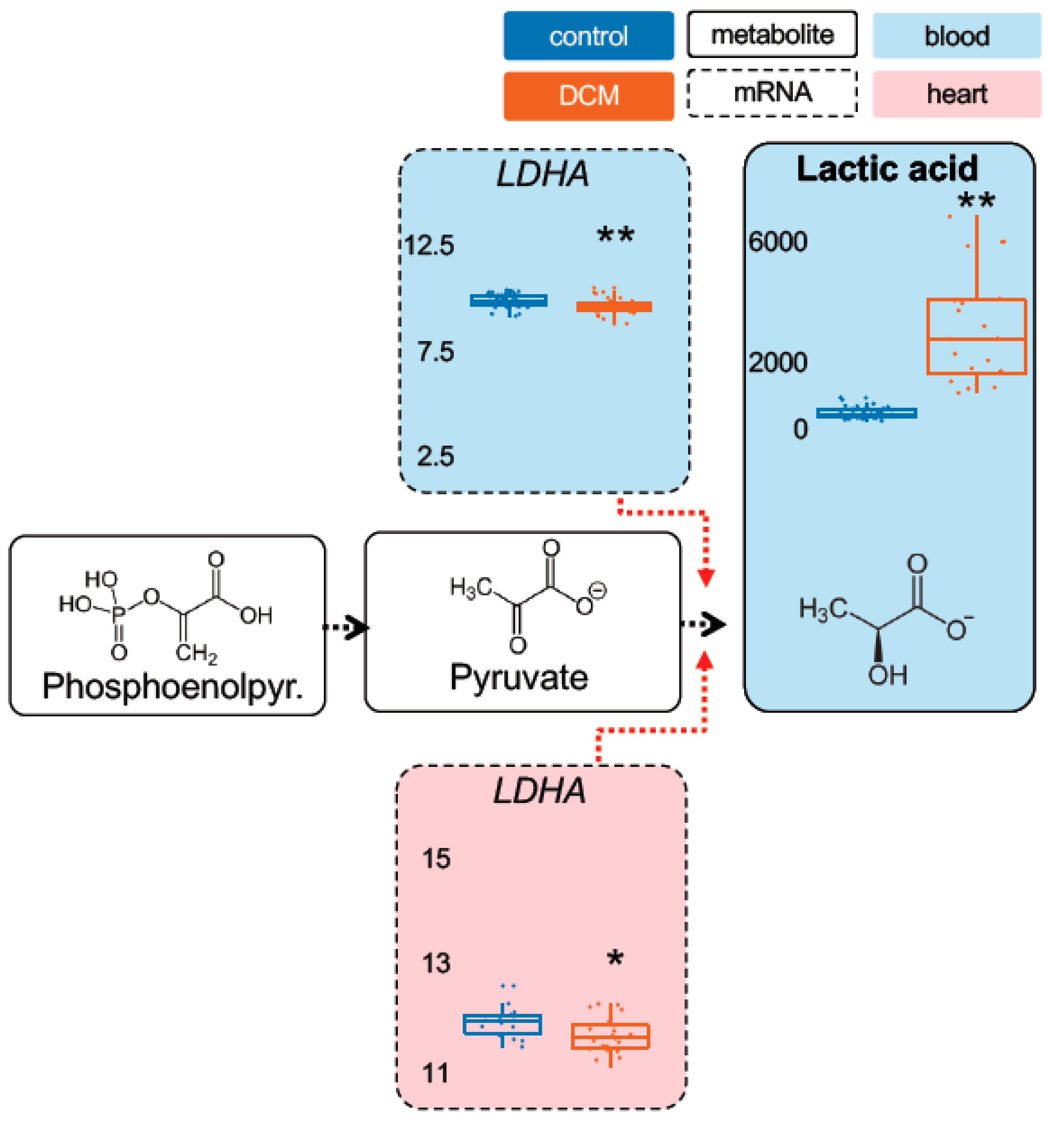 Ijms 22 01999 g002 Ijms 22 01999 g002