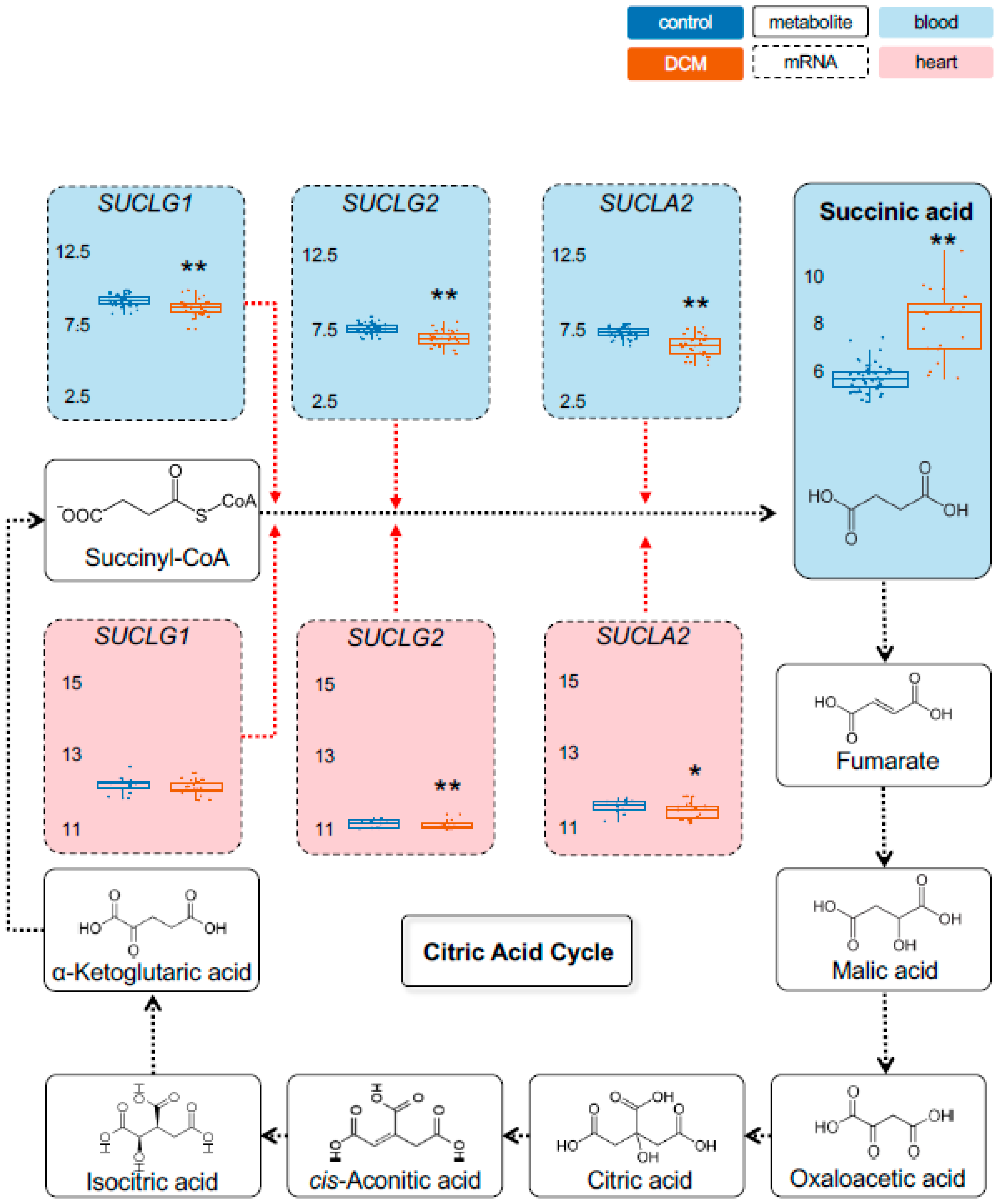 Ijms 22 01999 g004 Ijms 22 01999 g004
