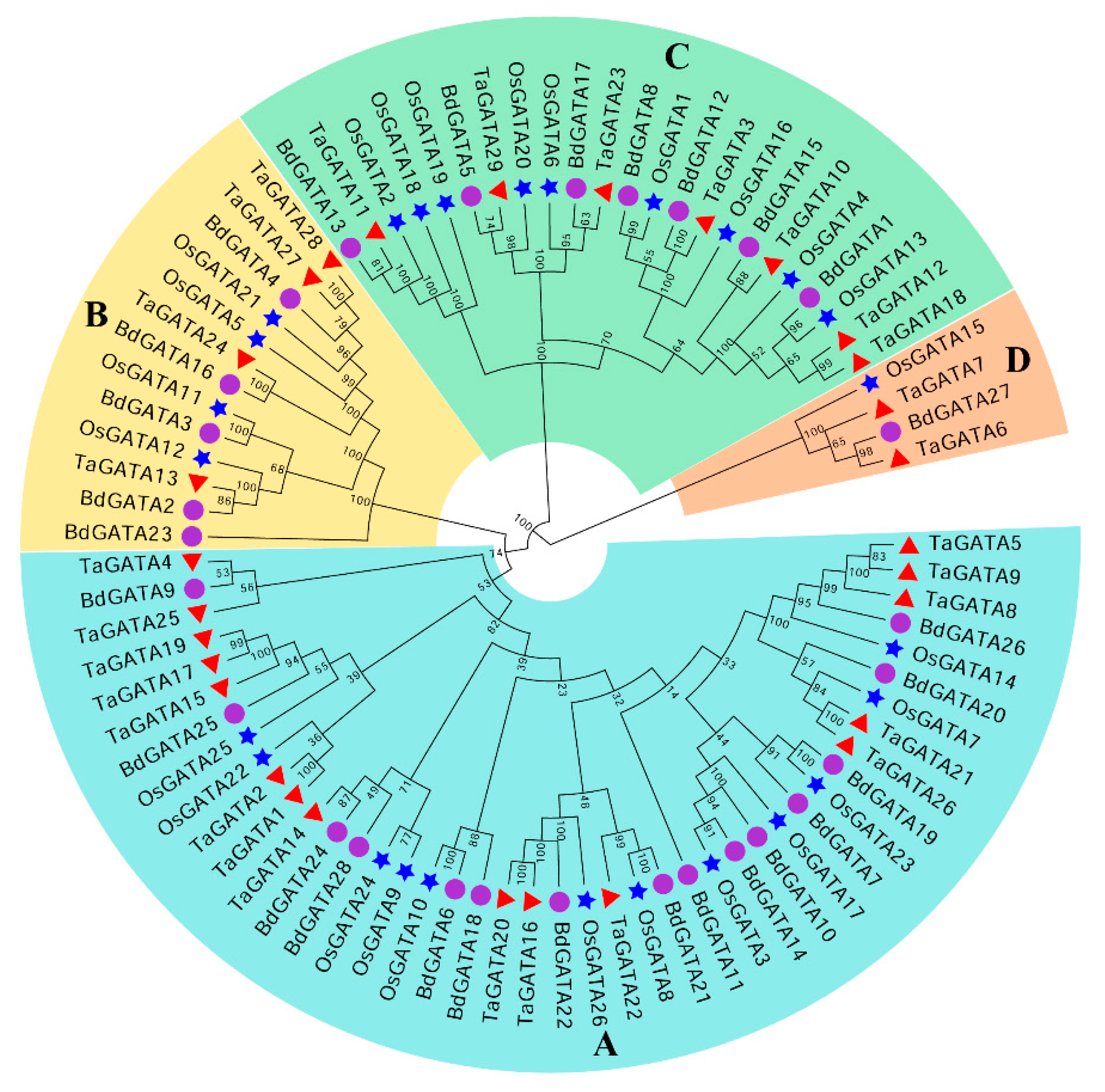 Ijms 22 02026 g001 Ijms 22 02026 g001