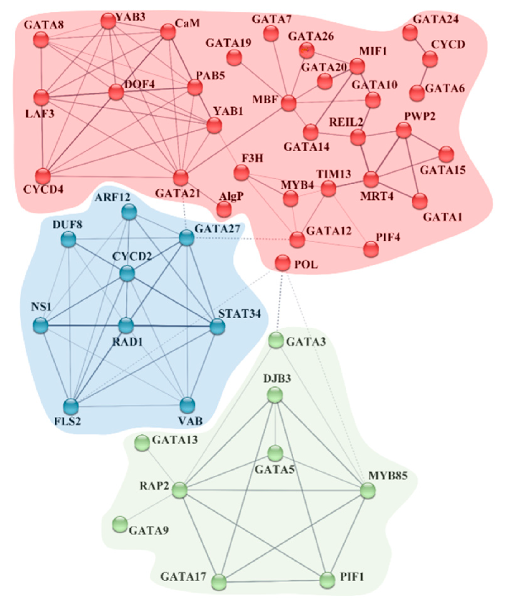 Ijms 22 02026 g005 Ijms 22 02026 g005