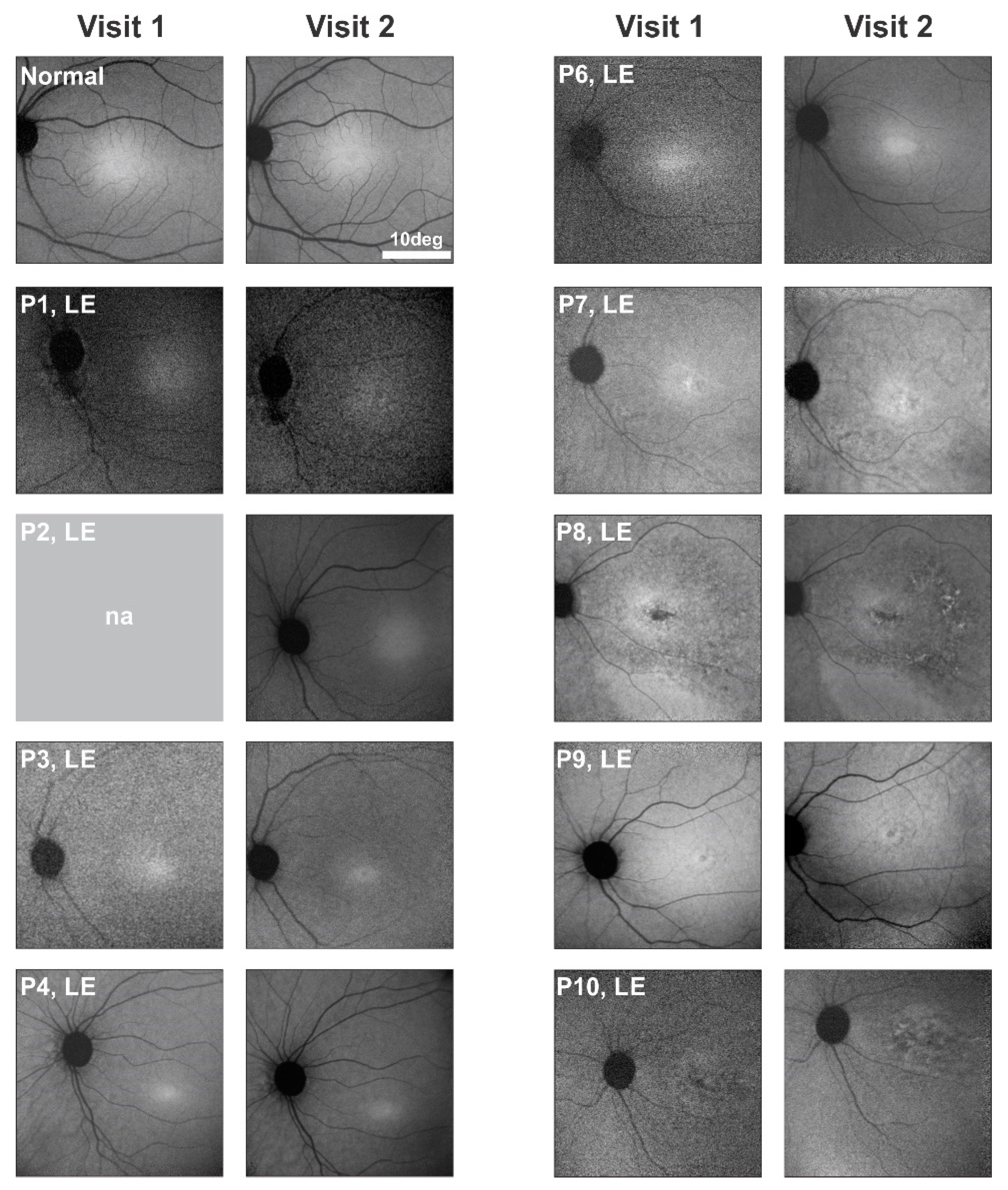 Ijms 22 02031 g001 Ijms 22 02031 g001