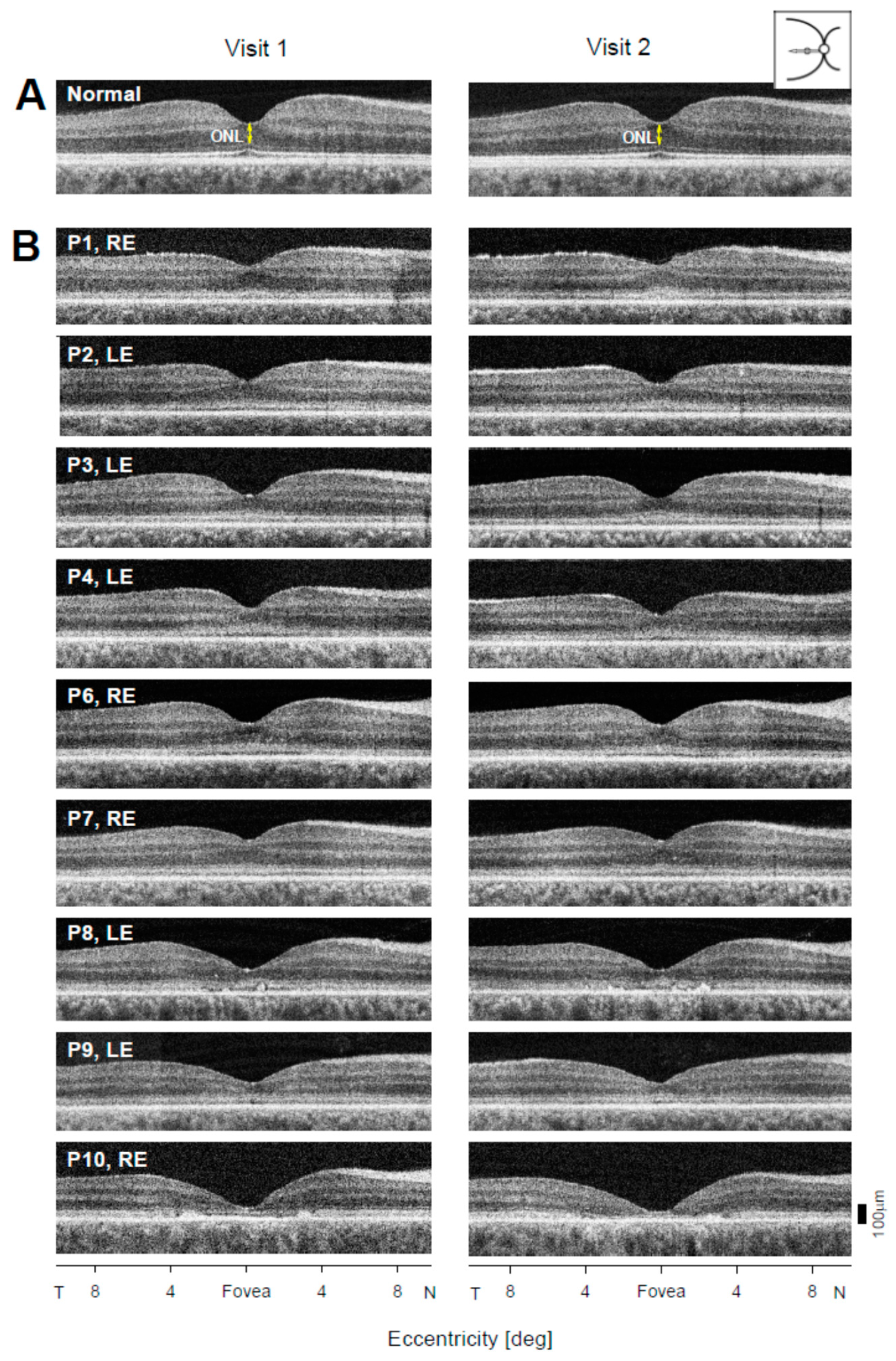 Ijms 22 02031 g002 Ijms 22 02031 g002