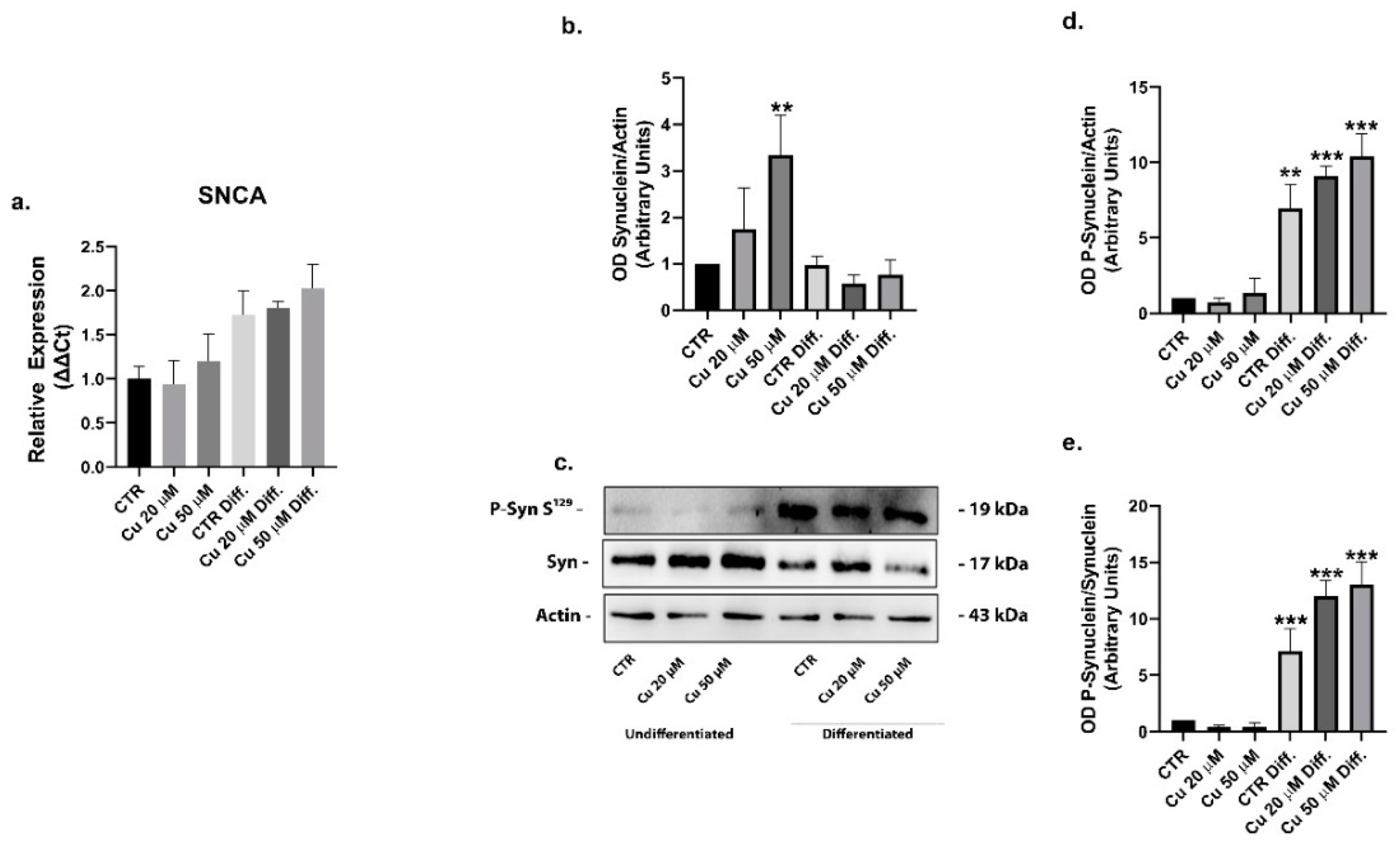 Ijms 22 02038 g008 Ijms 22 02038 g008